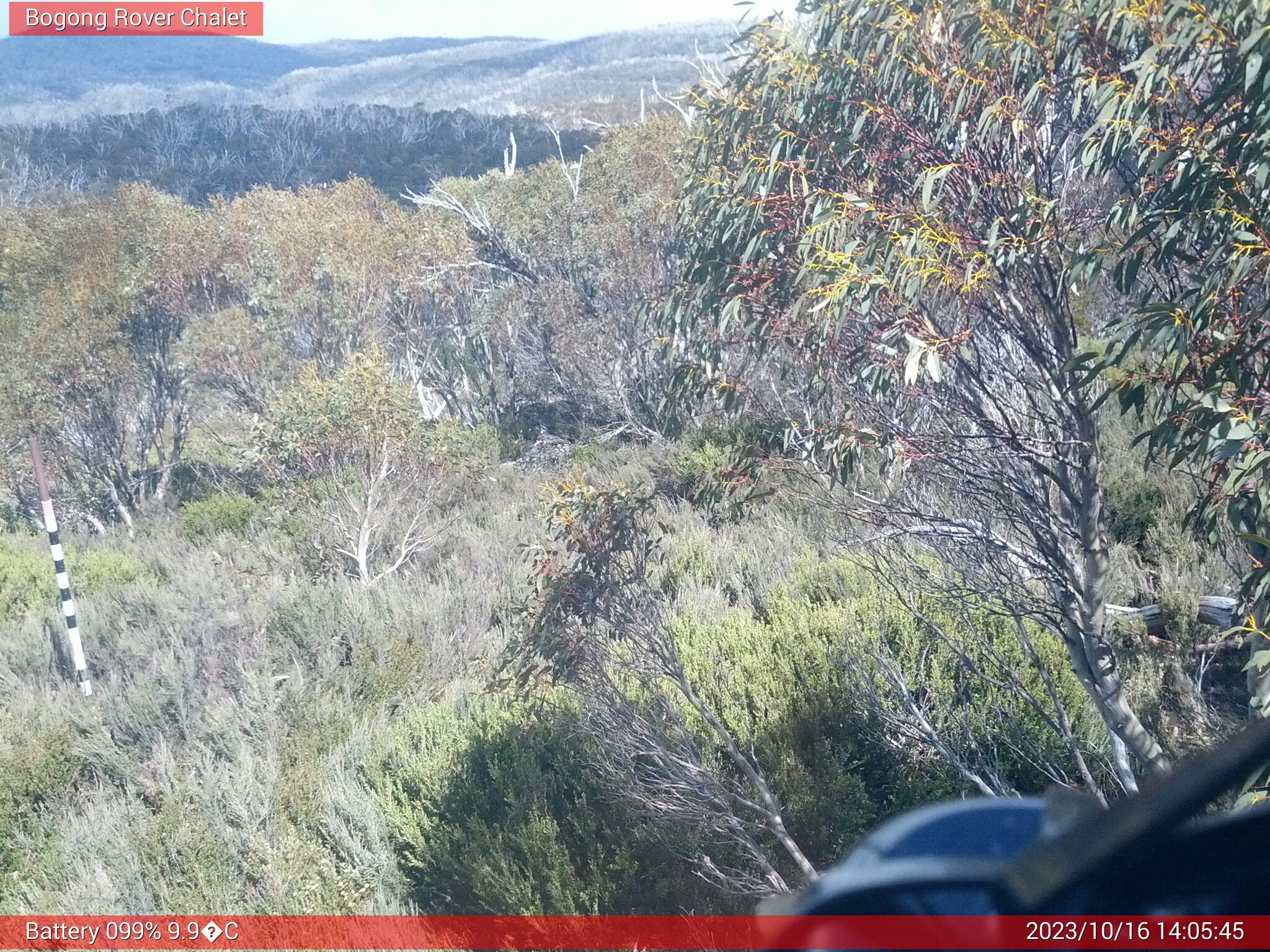 Bogong Web Cam 2:05pm Monday 16th of October 2023