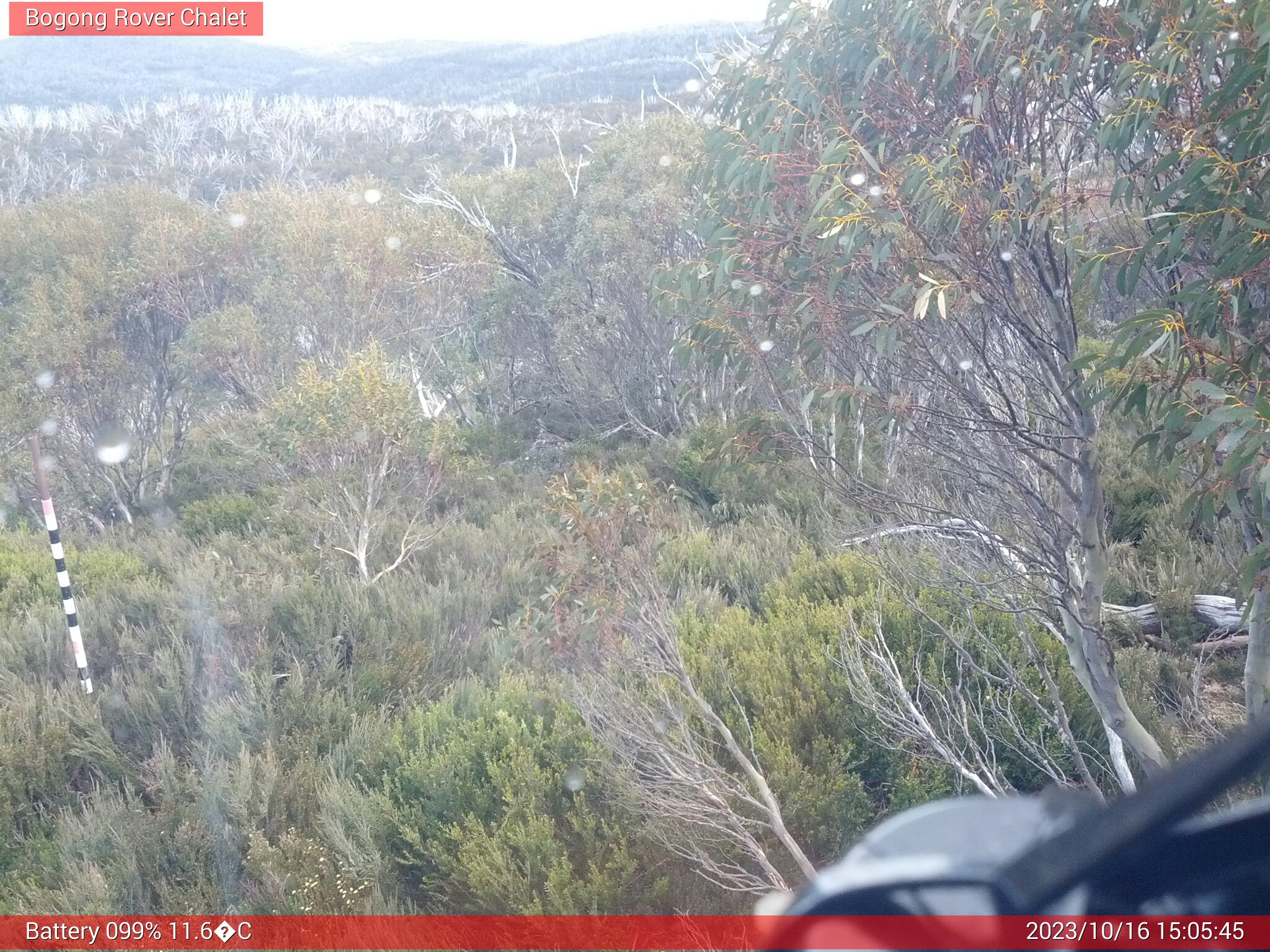 Bogong Web Cam 3:05pm Monday 16th of October 2023