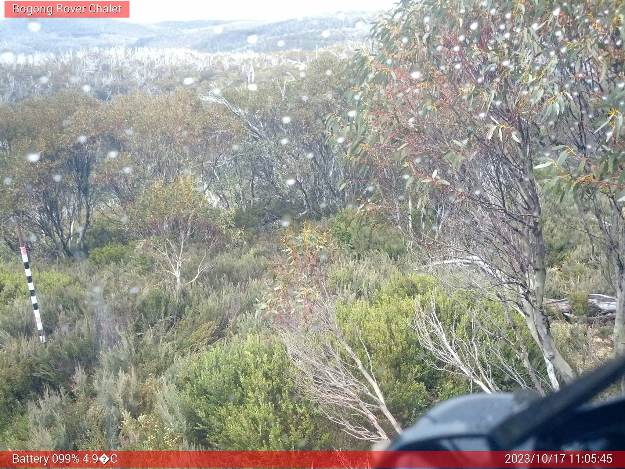 Bogong Web Cam 11:05am Tuesday 17th of October 2023