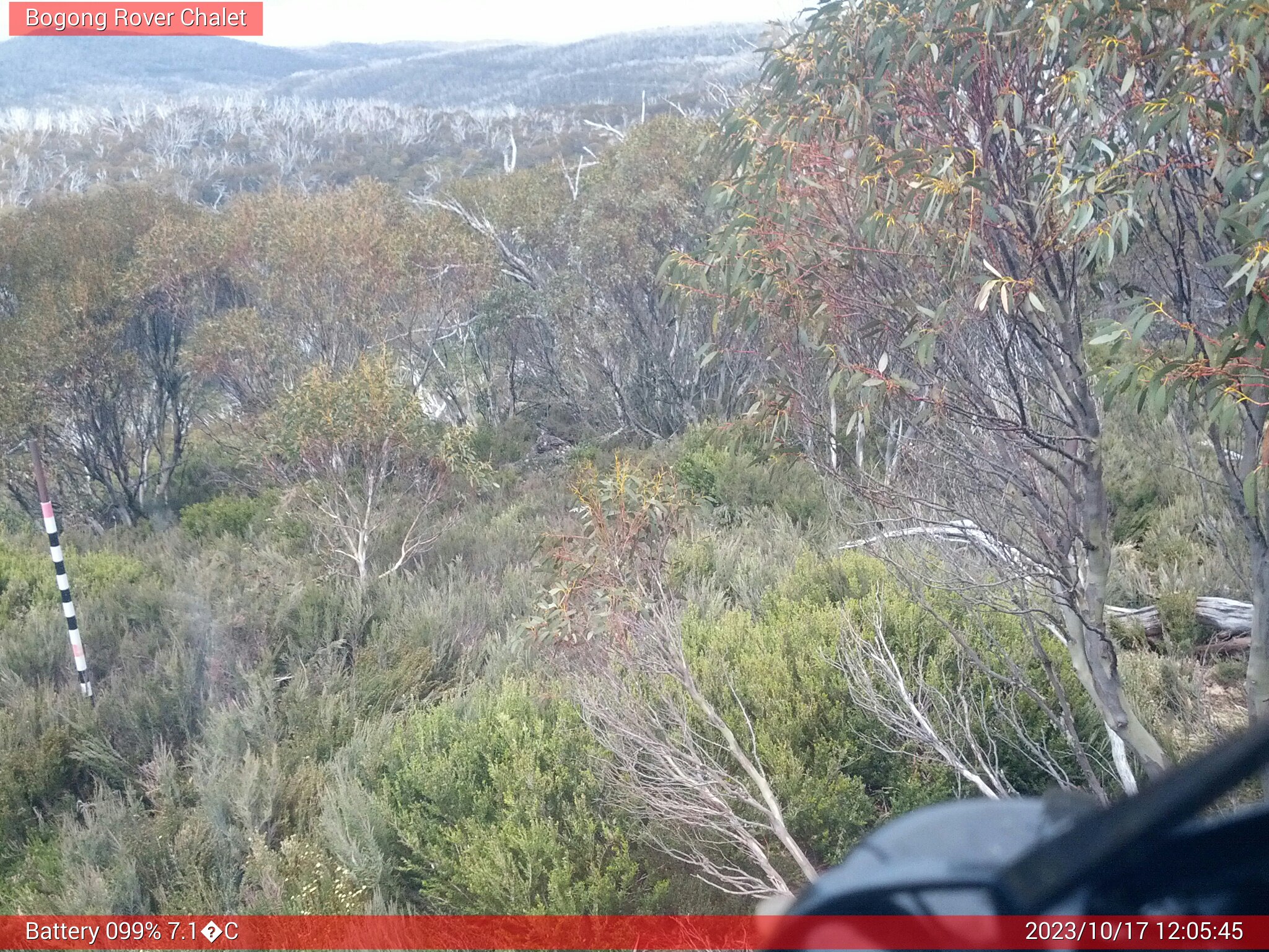 Bogong Web Cam 12:05pm Tuesday 17th of October 2023