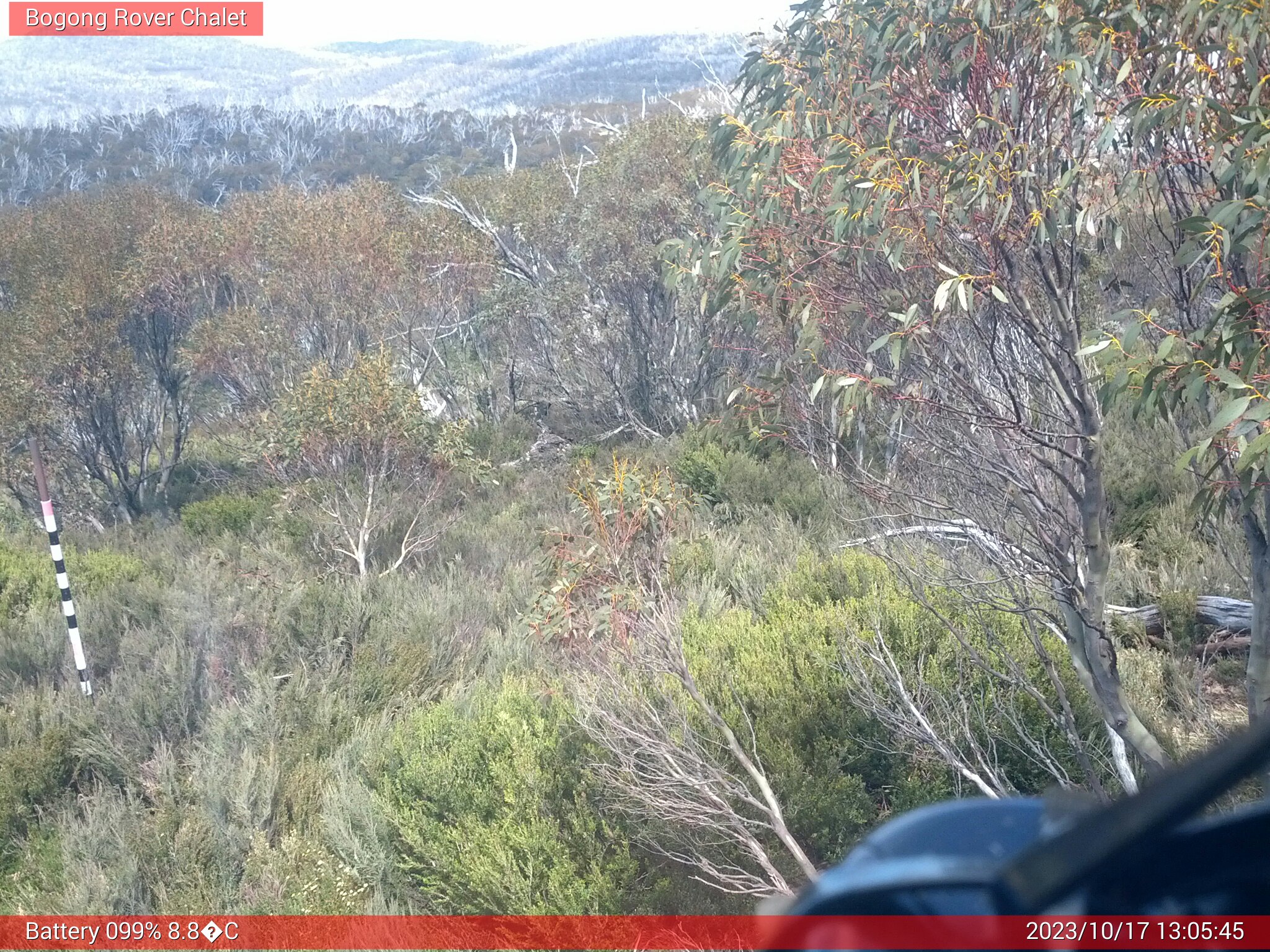 Bogong Web Cam 1:05pm Tuesday 17th of October 2023