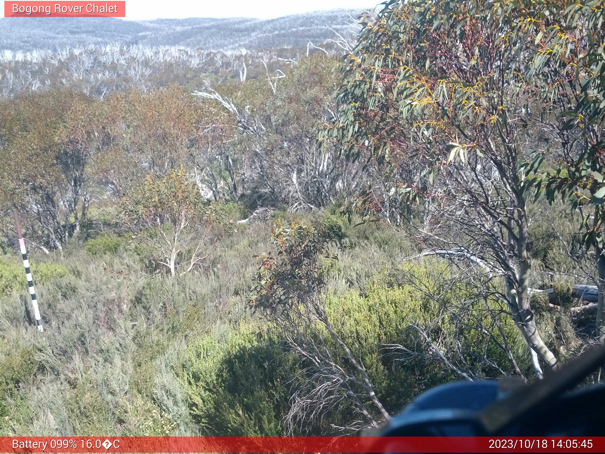 Bogong Web Cam 2:05pm Wednesday 18th of October 2023