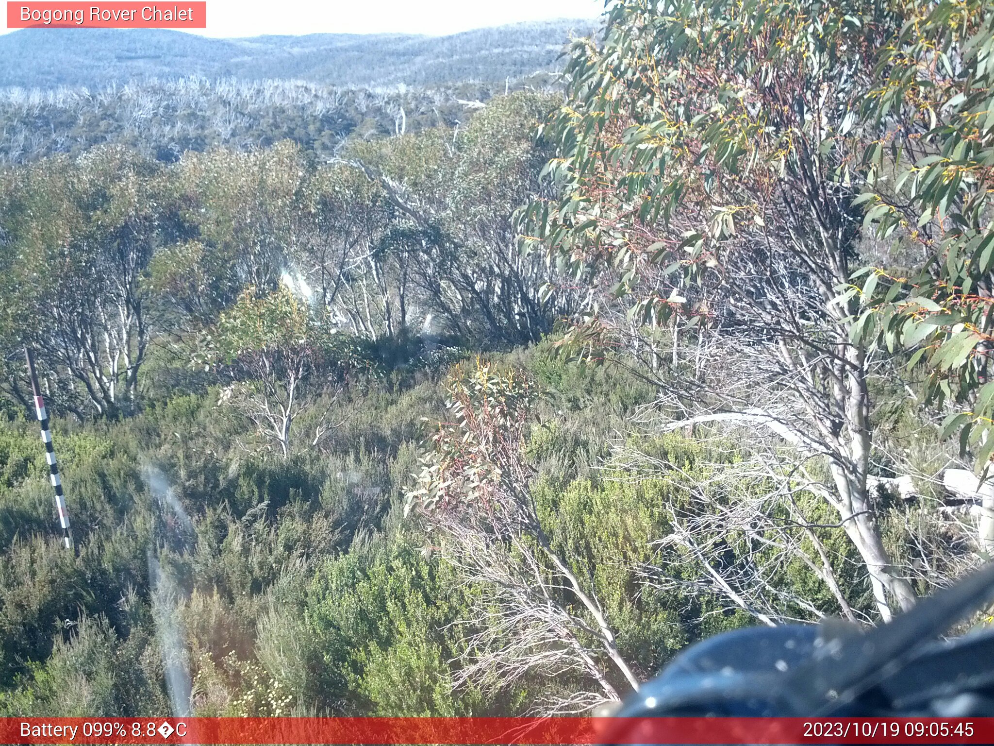 Bogong Web Cam 9:05am Thursday 19th of October 2023