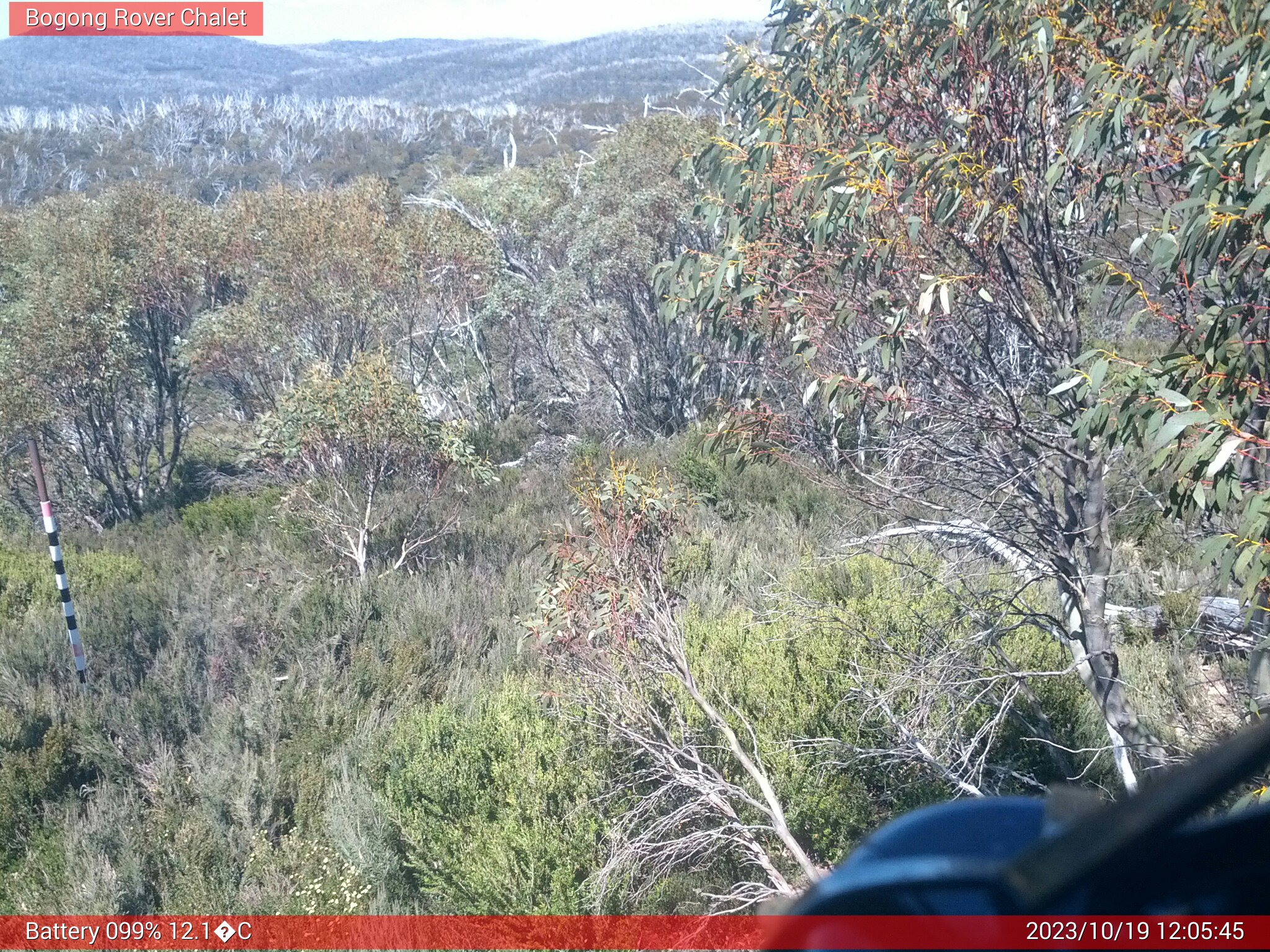 Bogong Web Cam 12:05pm Thursday 19th of October 2023