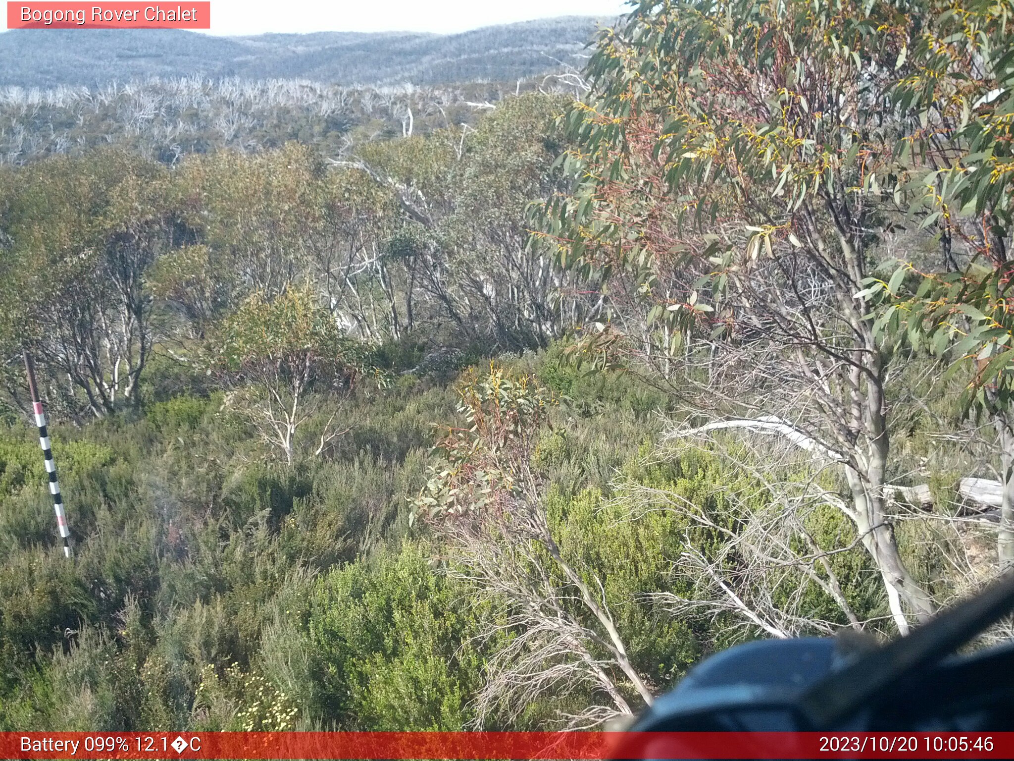 Bogong Web Cam 10:05am Friday 20th of October 2023