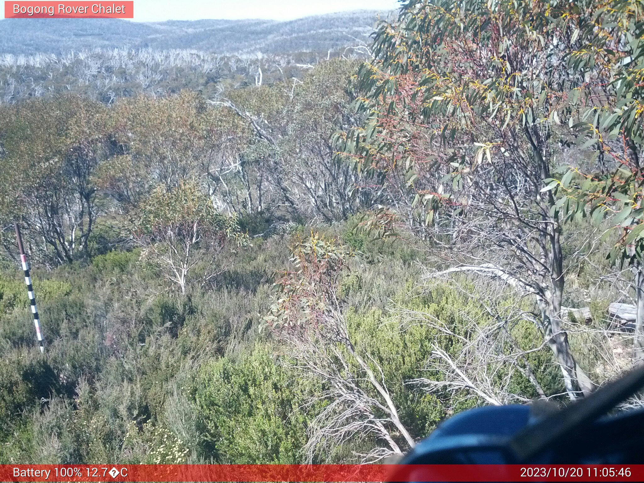 Bogong Web Cam 11:05am Friday 20th of October 2023