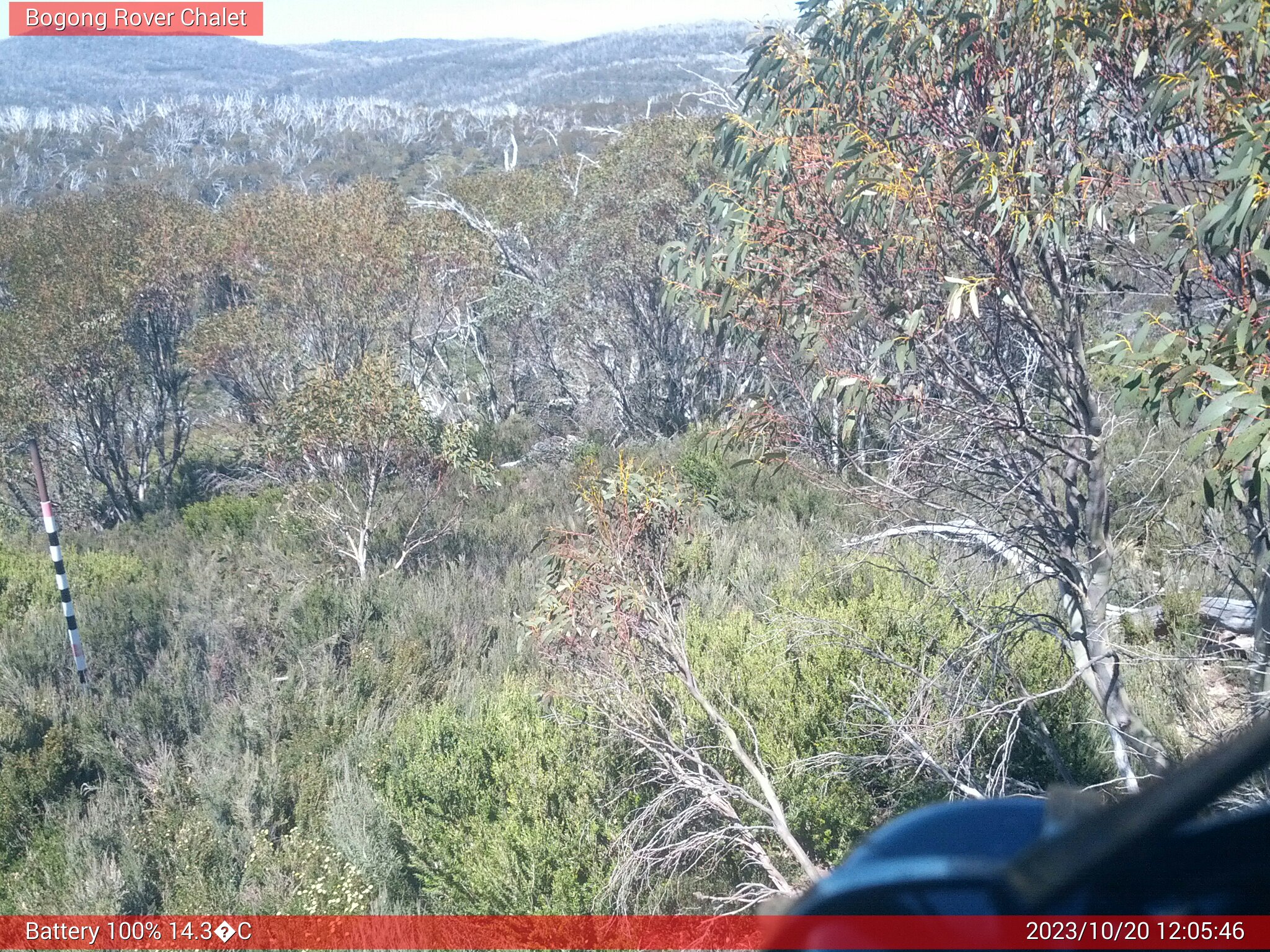 Bogong Web Cam 12:05pm Friday 20th of October 2023