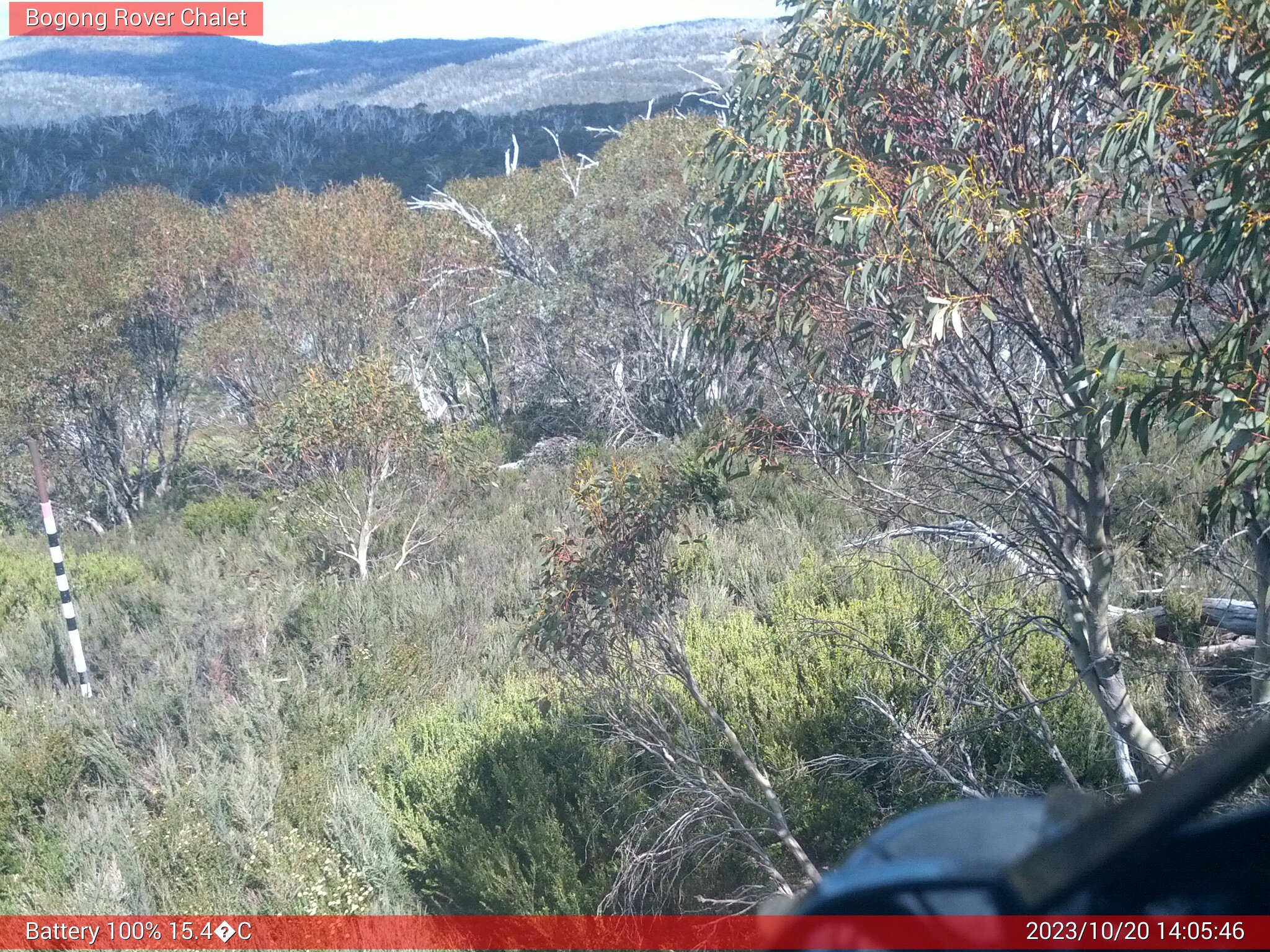 Bogong Web Cam 2:05pm Friday 20th of October 2023