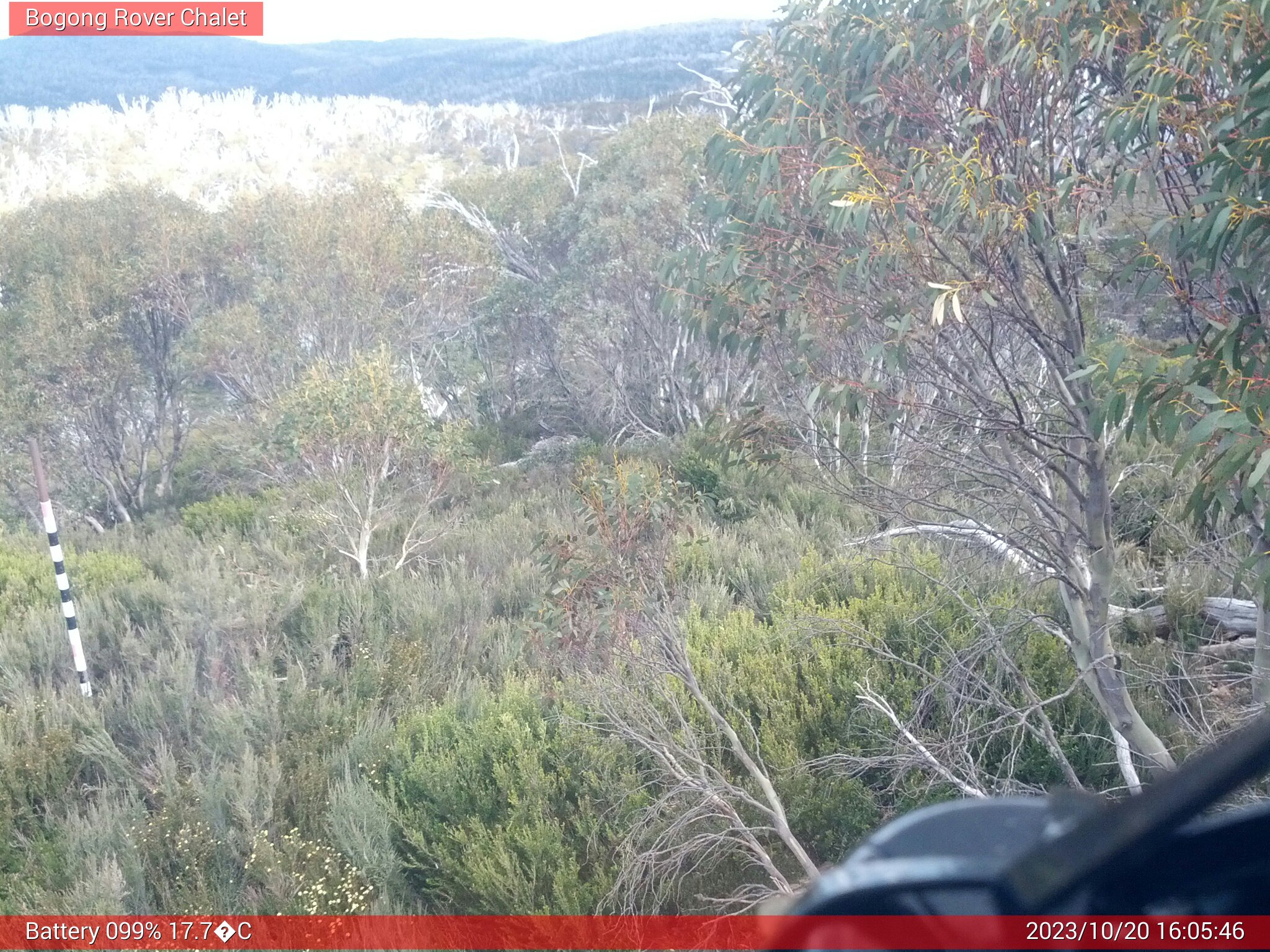 Bogong Web Cam 4:05pm Friday 20th of October 2023