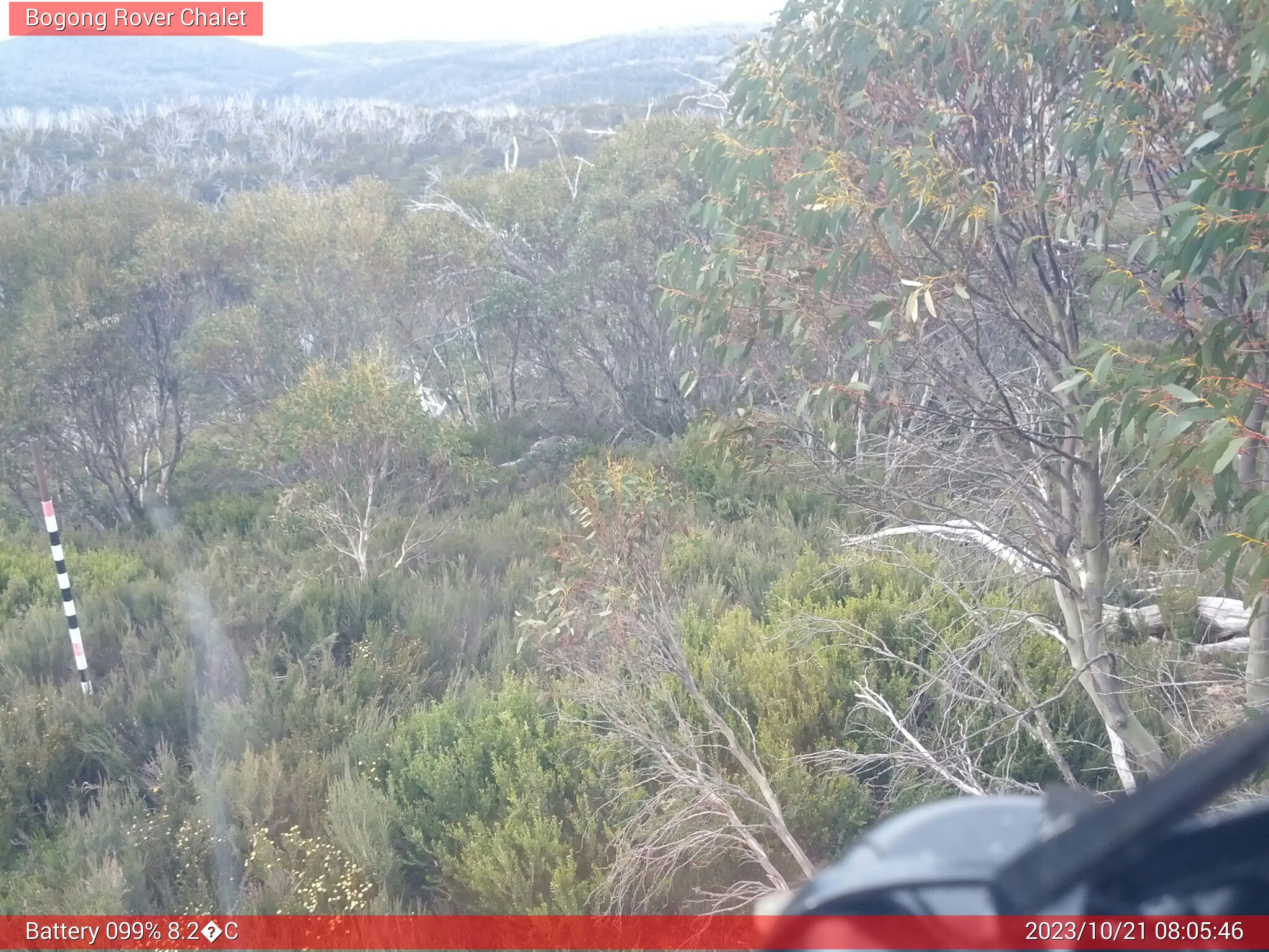 Bogong Web Cam 8:05am Saturday 21st of October 2023