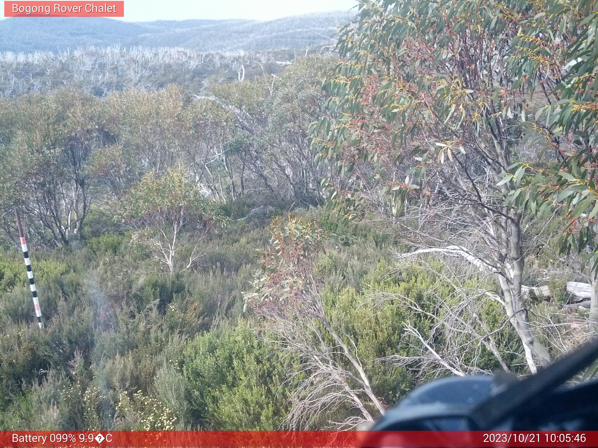 Bogong Web Cam 10:05am Saturday 21st of October 2023