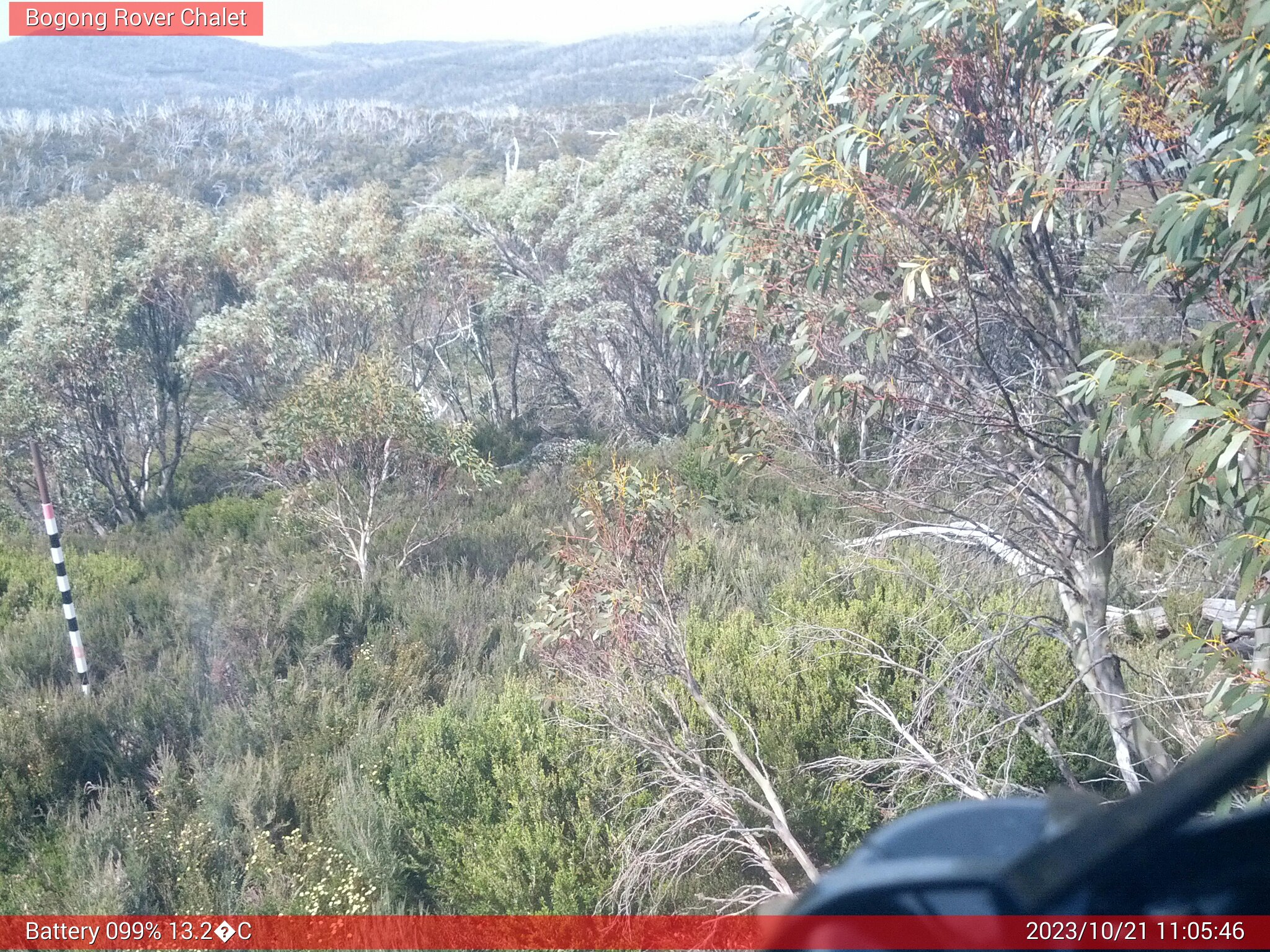 Bogong Web Cam 11:05am Saturday 21st of October 2023