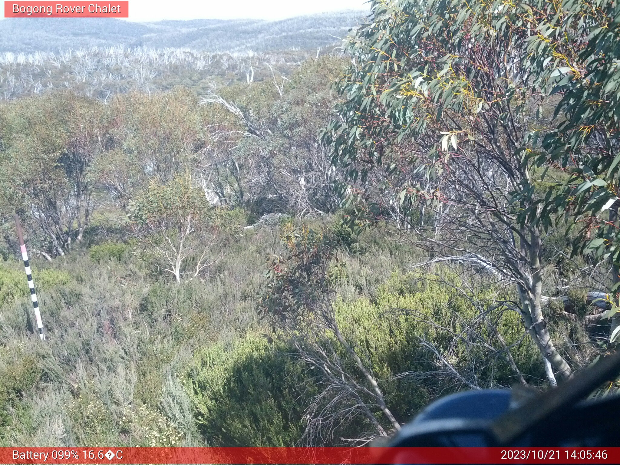 Bogong Web Cam 2:05pm Saturday 21st of October 2023