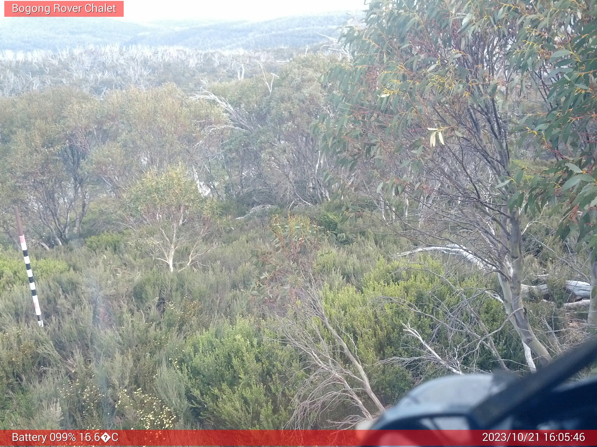 Bogong Web Cam 4:05pm Saturday 21st of October 2023