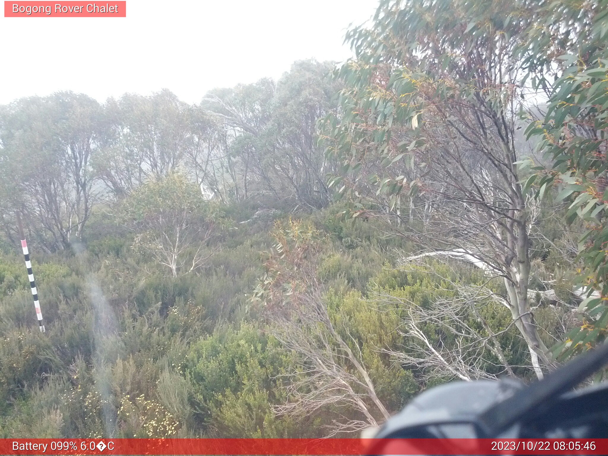 Bogong Web Cam 8:05am Sunday 22nd of October 2023