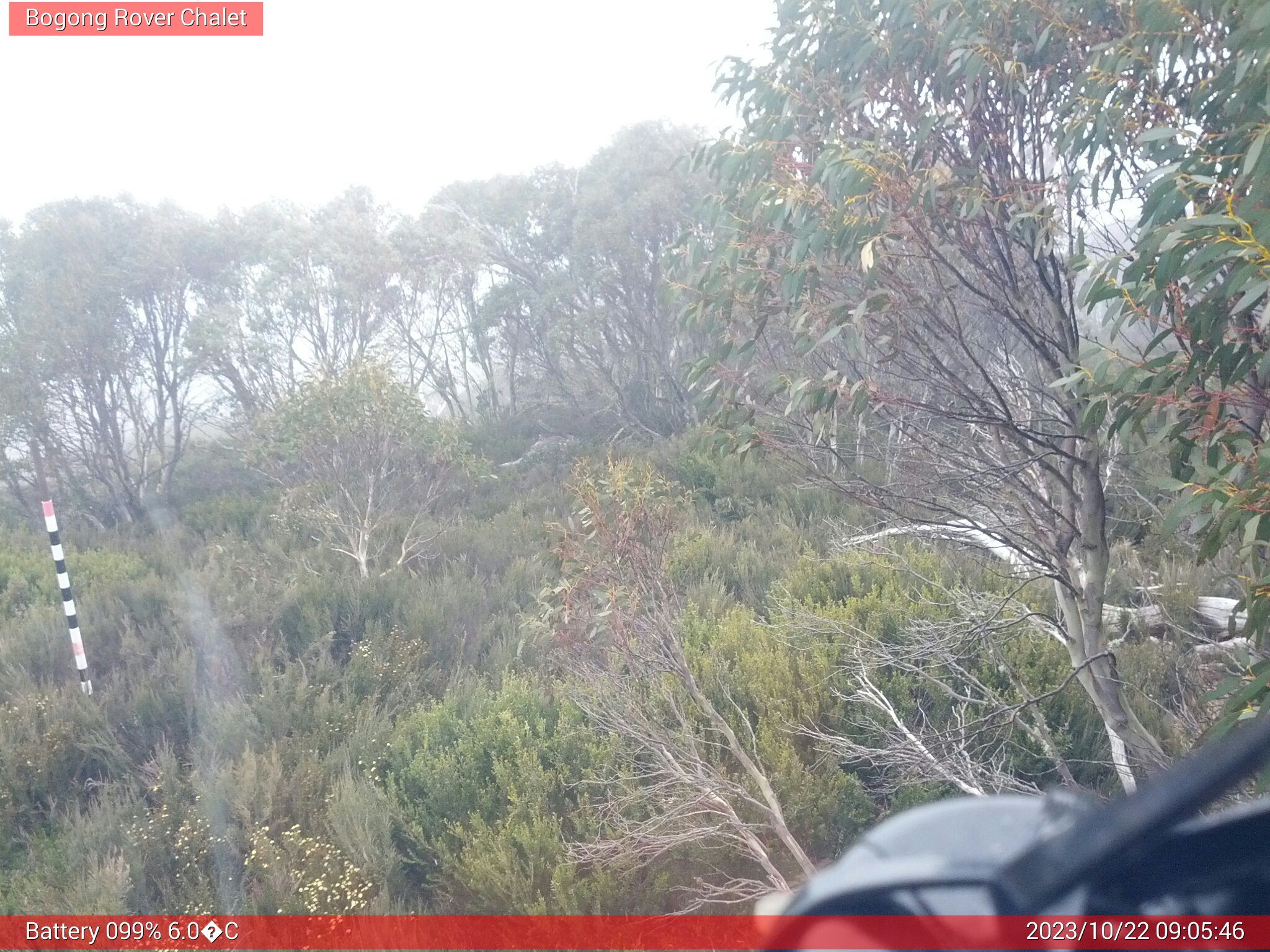 Bogong Web Cam 9:05am Sunday 22nd of October 2023