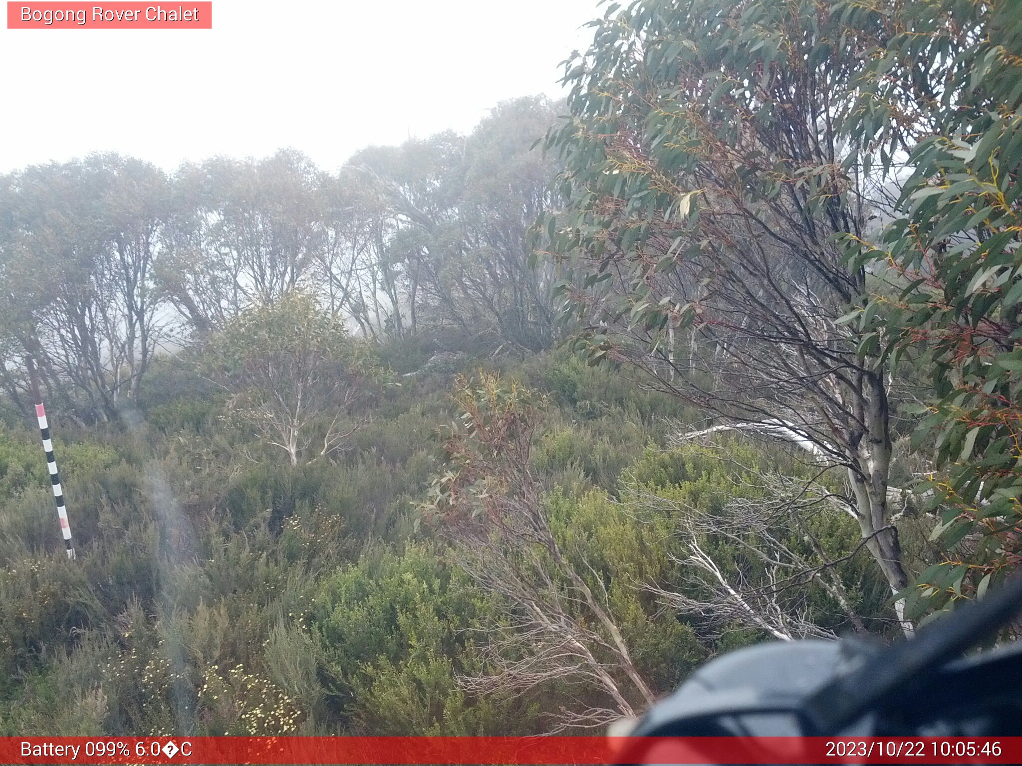 Bogong Web Cam 10:05am Sunday 22nd of October 2023