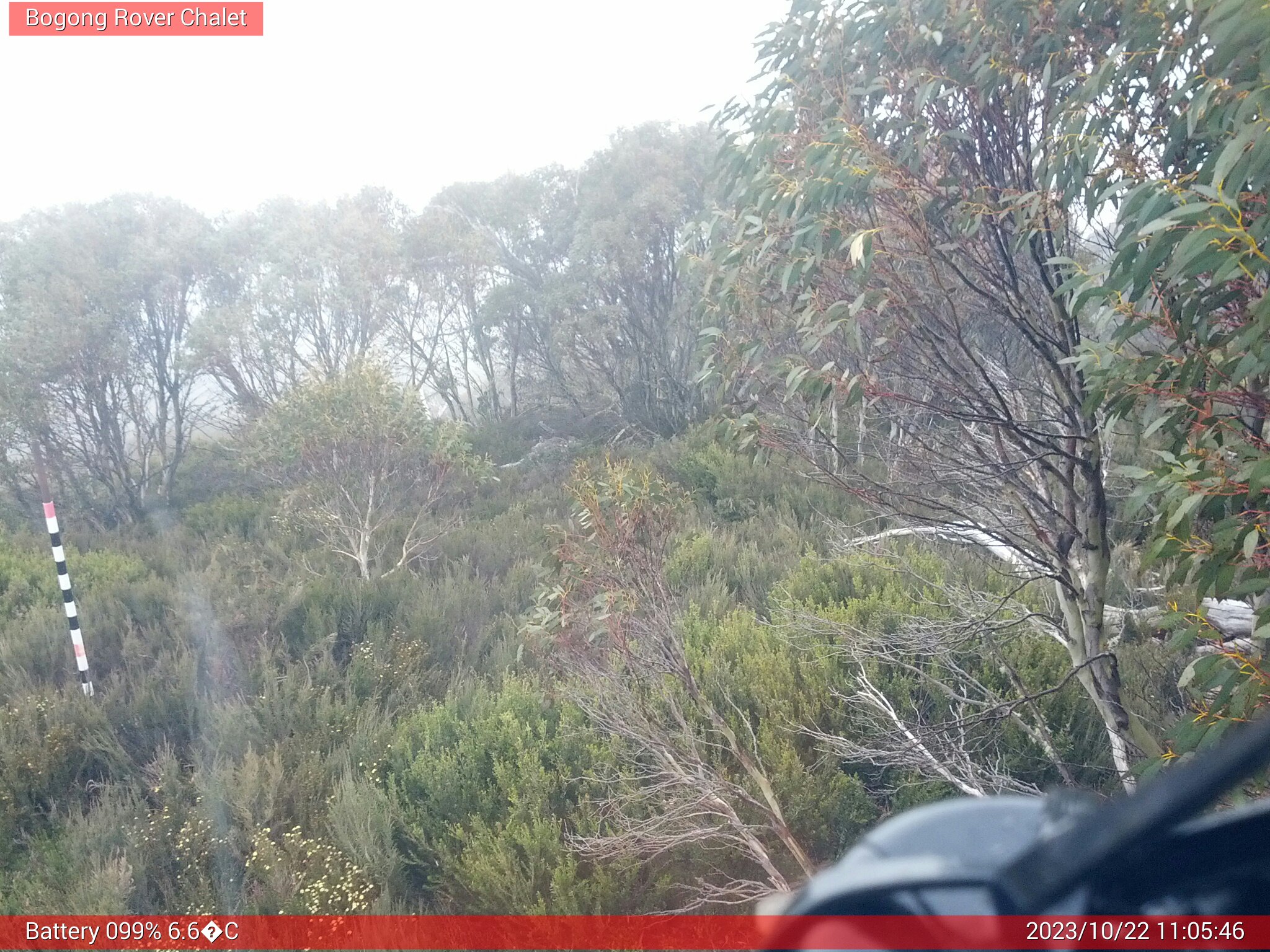 Bogong Web Cam 11:05am Sunday 22nd of October 2023