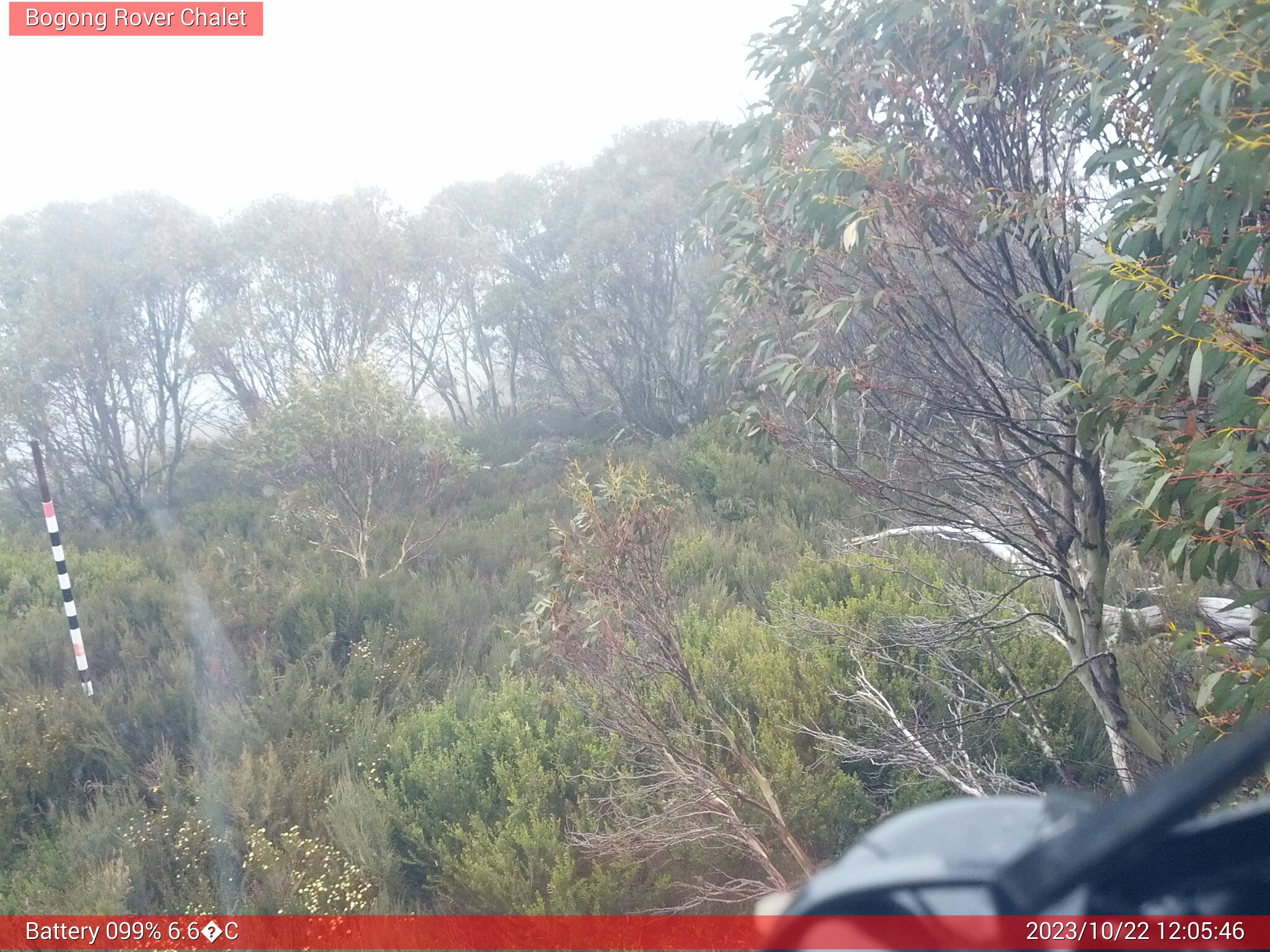 Bogong Web Cam 12:05pm Sunday 22nd of October 2023