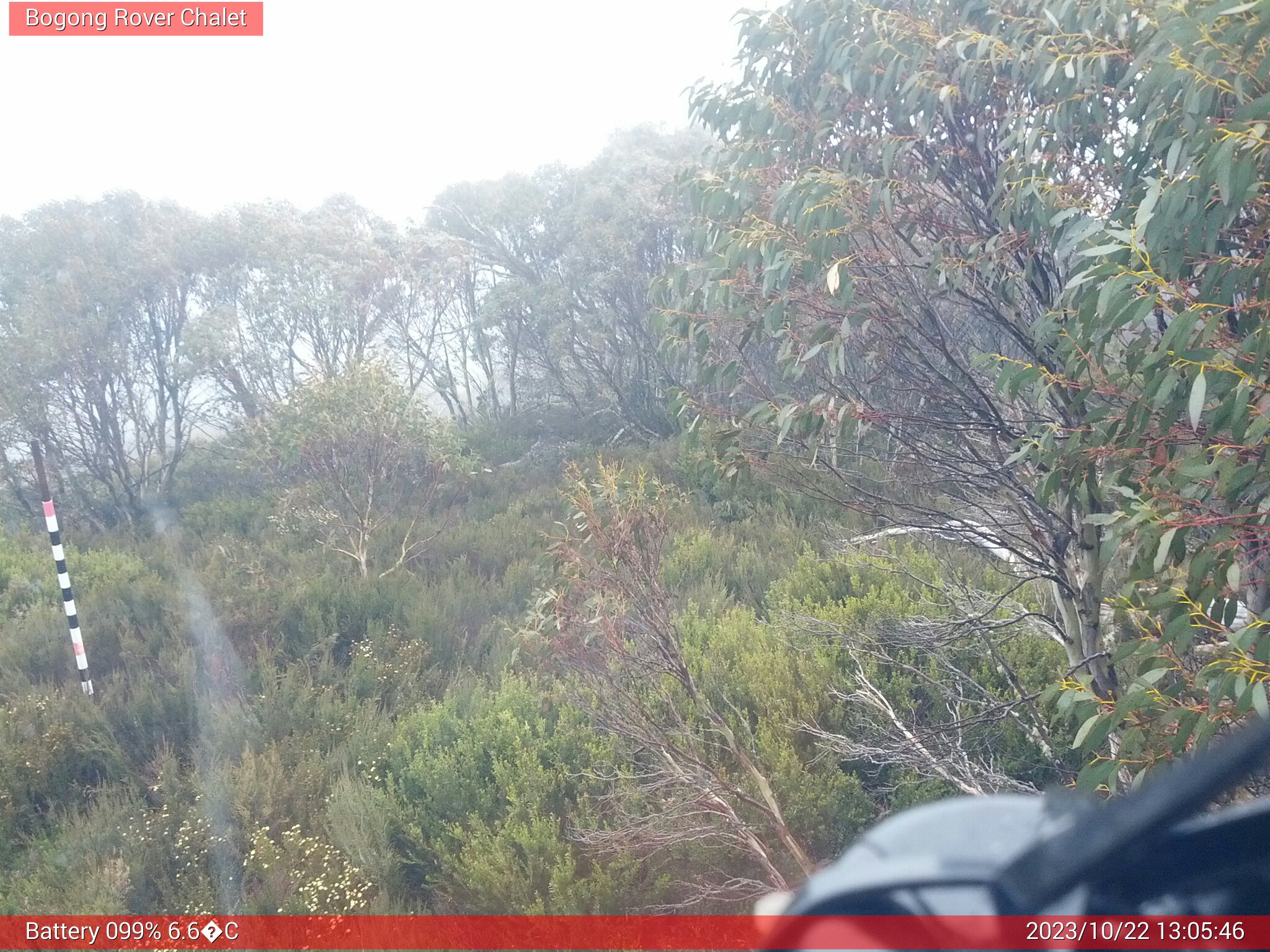 Bogong Web Cam 1:05pm Sunday 22nd of October 2023