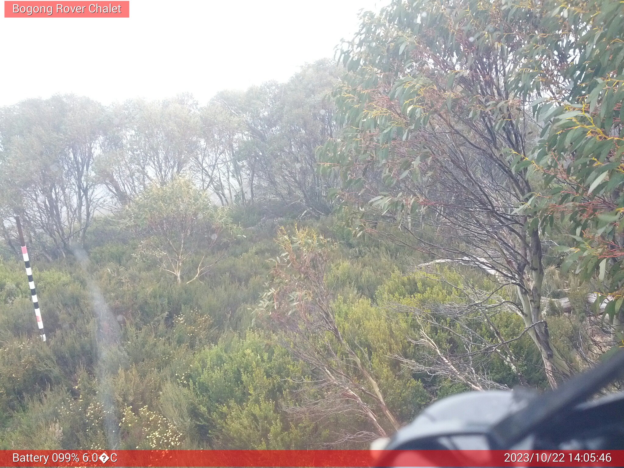 Bogong Web Cam 2:05pm Sunday 22nd of October 2023