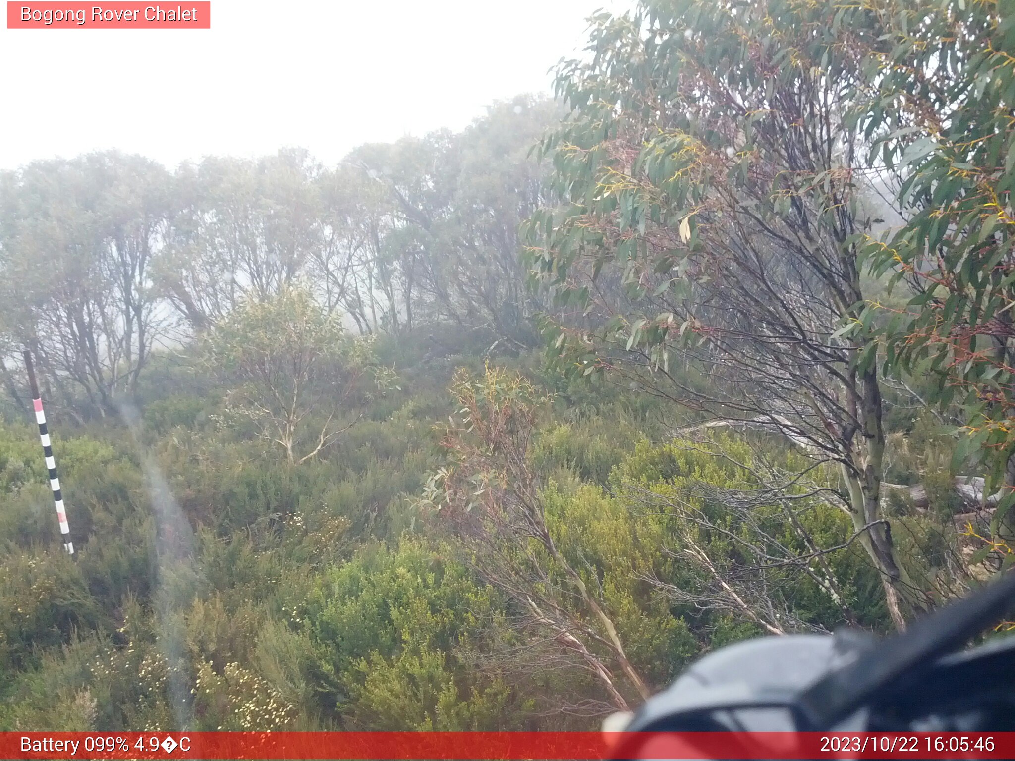 Bogong Web Cam 4:05pm Sunday 22nd of October 2023