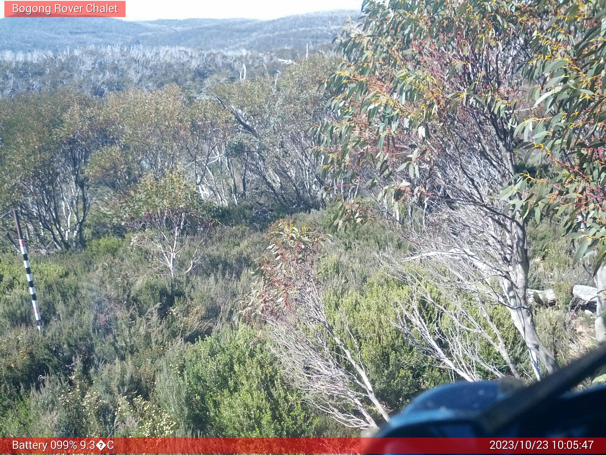 Bogong Web Cam 10:05am Monday 23rd of October 2023