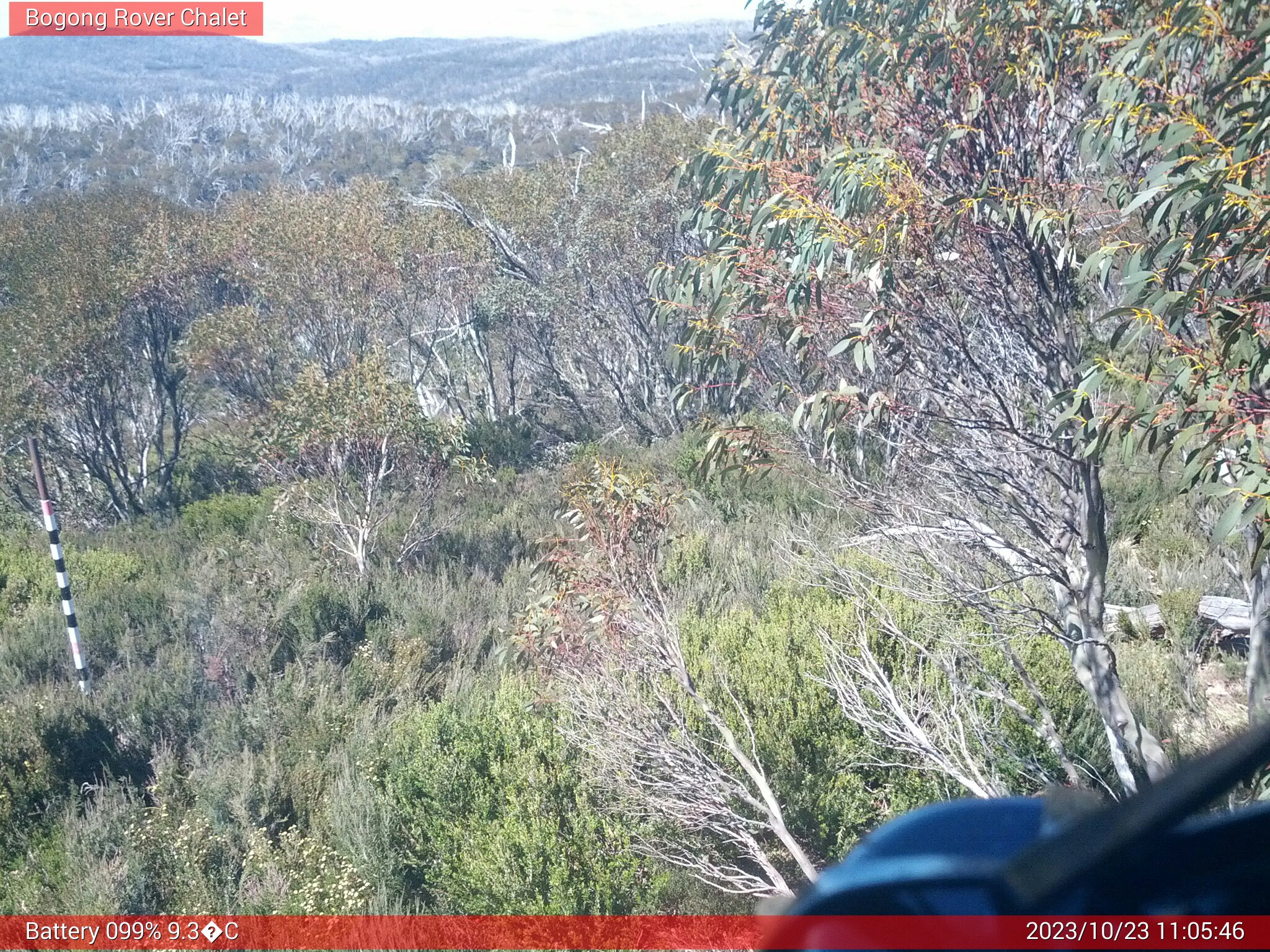 Bogong Web Cam 11:05am Monday 23rd of October 2023