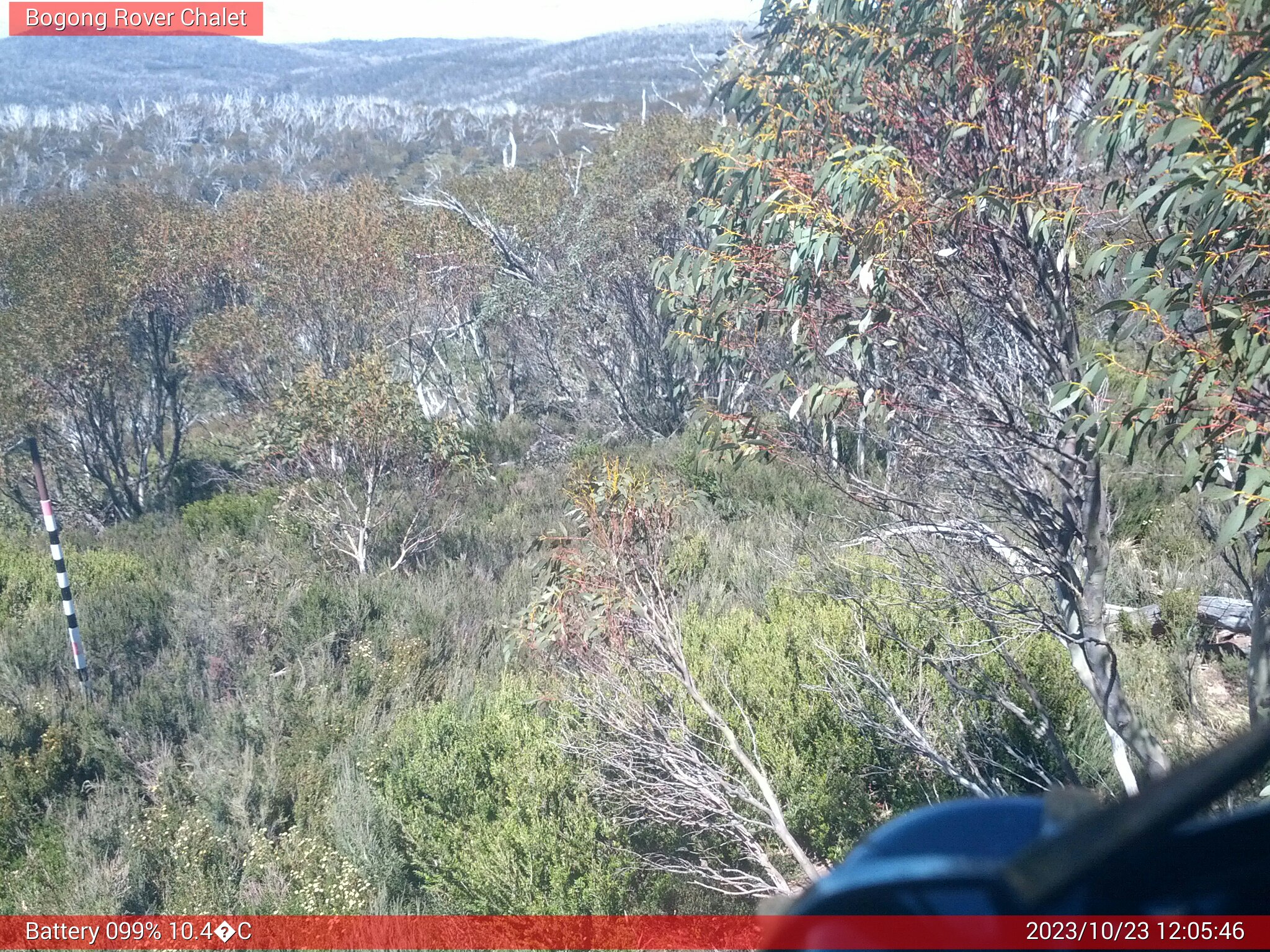 Bogong Web Cam 12:05pm Monday 23rd of October 2023