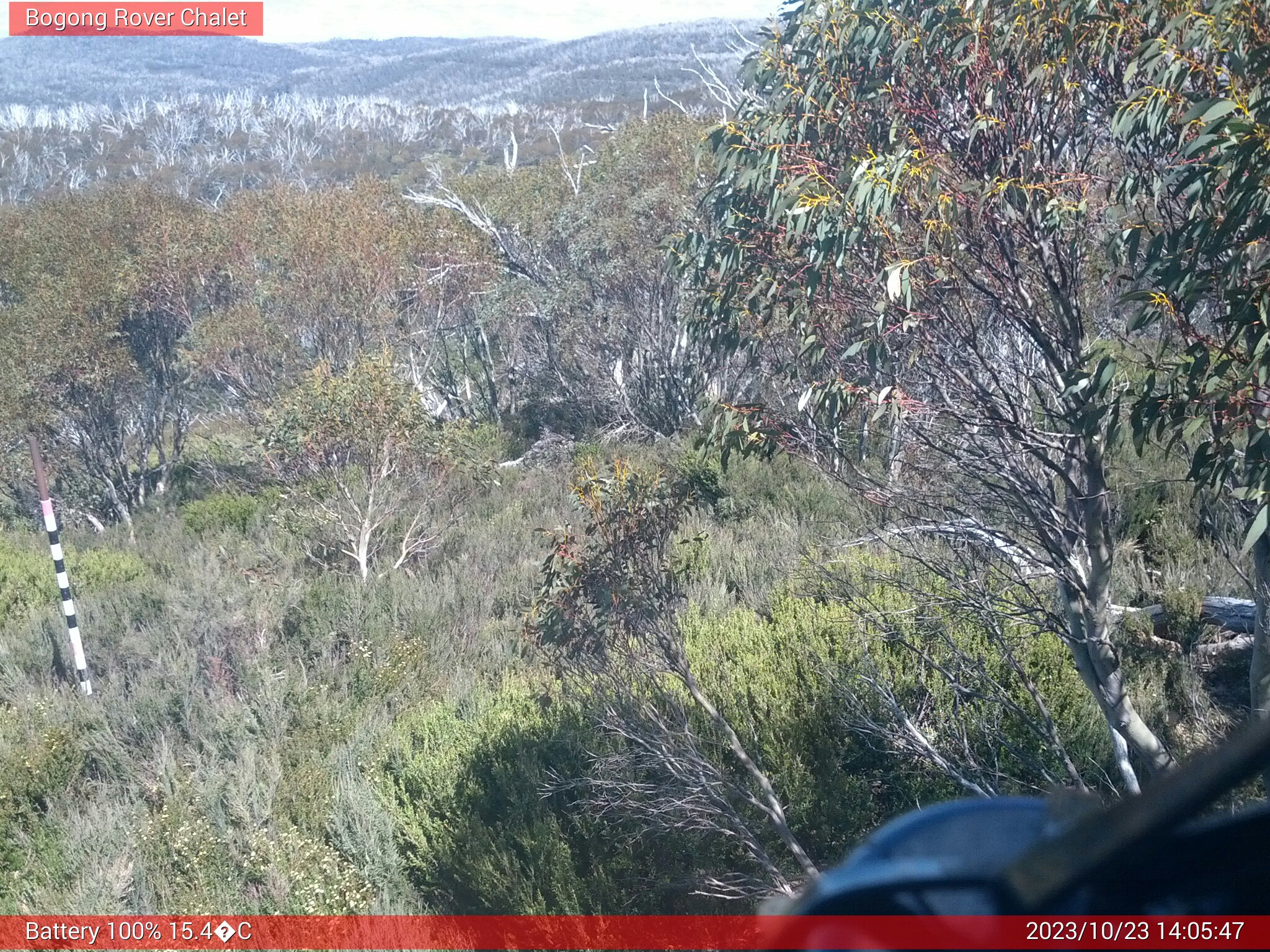 Bogong Web Cam 2:05pm Monday 23rd of October 2023