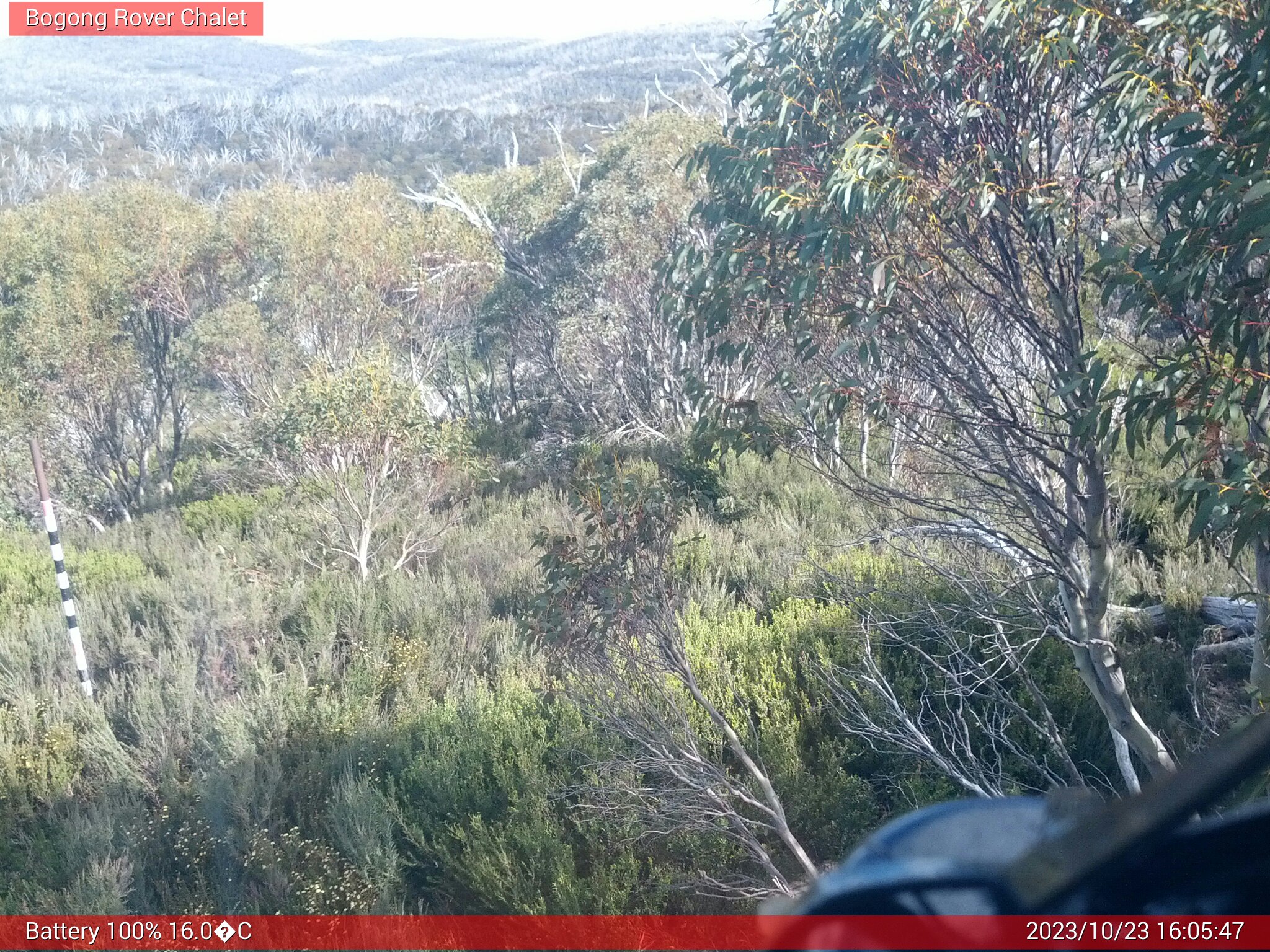 Bogong Web Cam 4:05pm Monday 23rd of October 2023