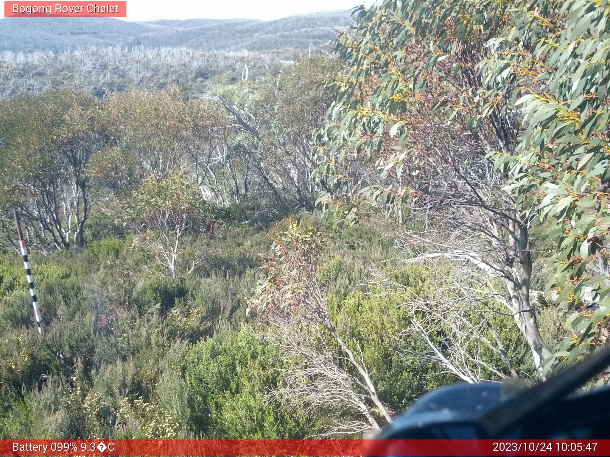 Bogong Web Cam 10:05am Tuesday 24th of October 2023