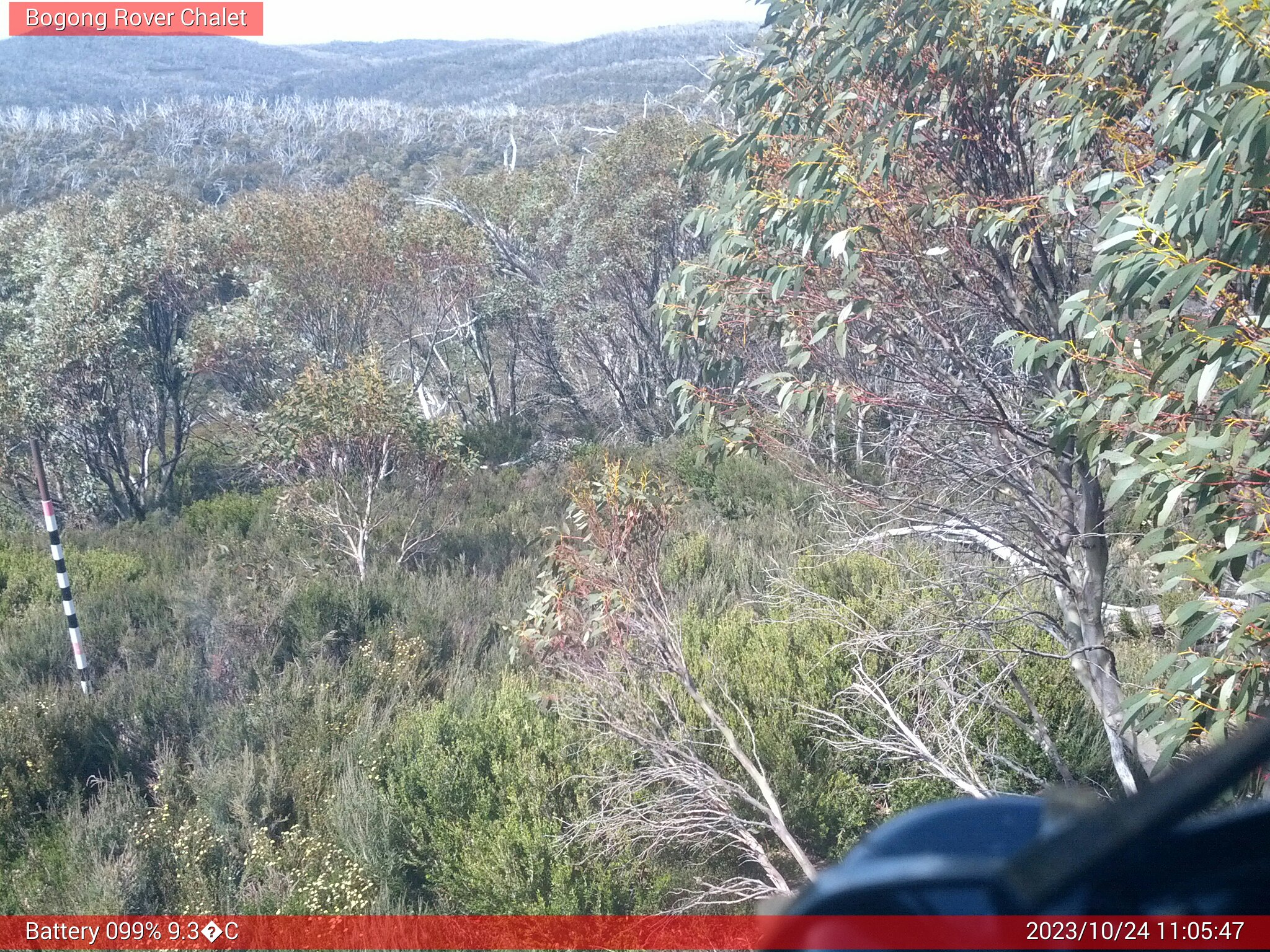 Bogong Web Cam 11:05am Tuesday 24th of October 2023