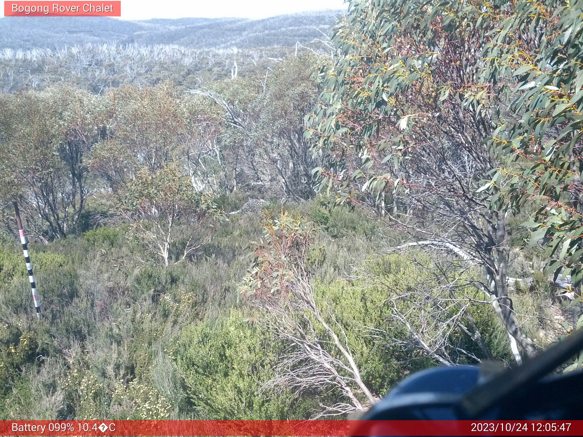 Bogong Web Cam 12:05pm Tuesday 24th of October 2023