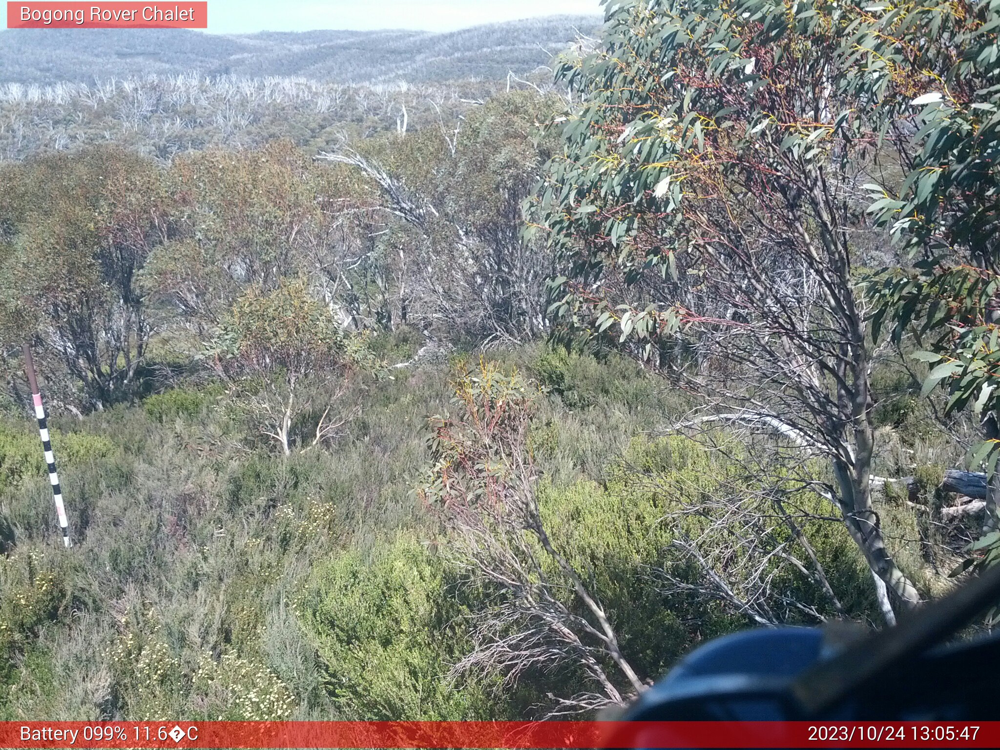 Bogong Web Cam 1:05pm Tuesday 24th of October 2023