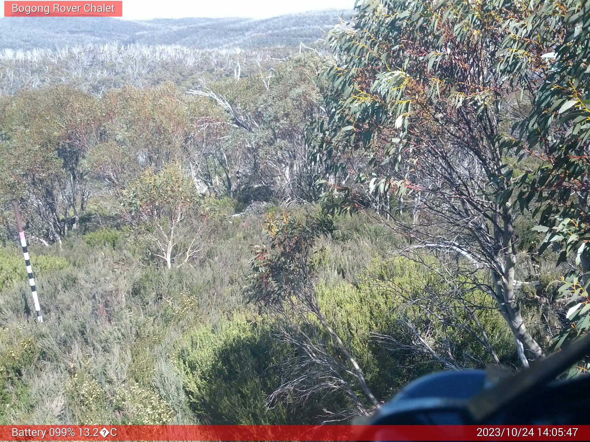 Bogong Web Cam 2:05pm Tuesday 24th of October 2023