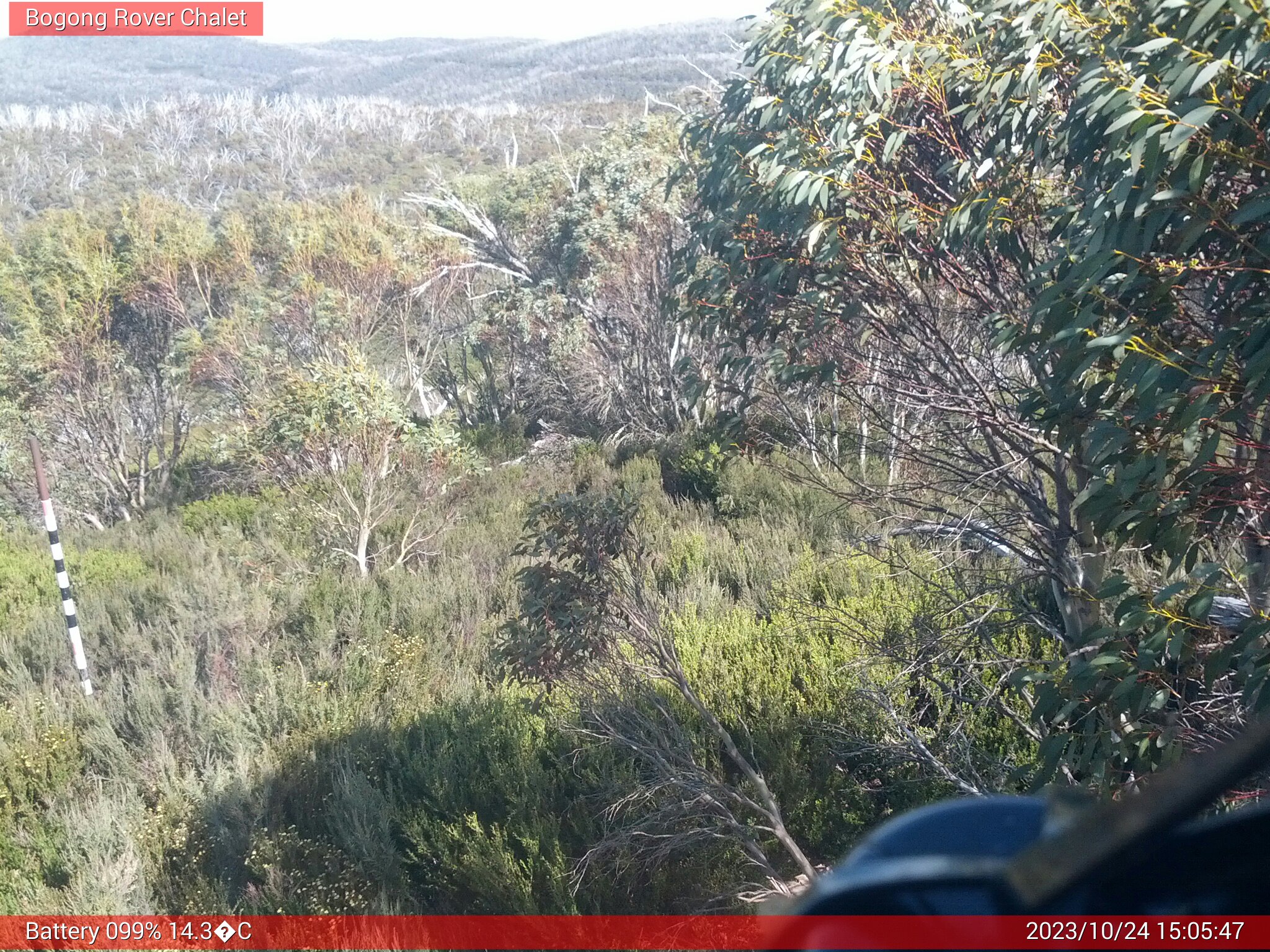 Bogong Web Cam 3:05pm Tuesday 24th of October 2023