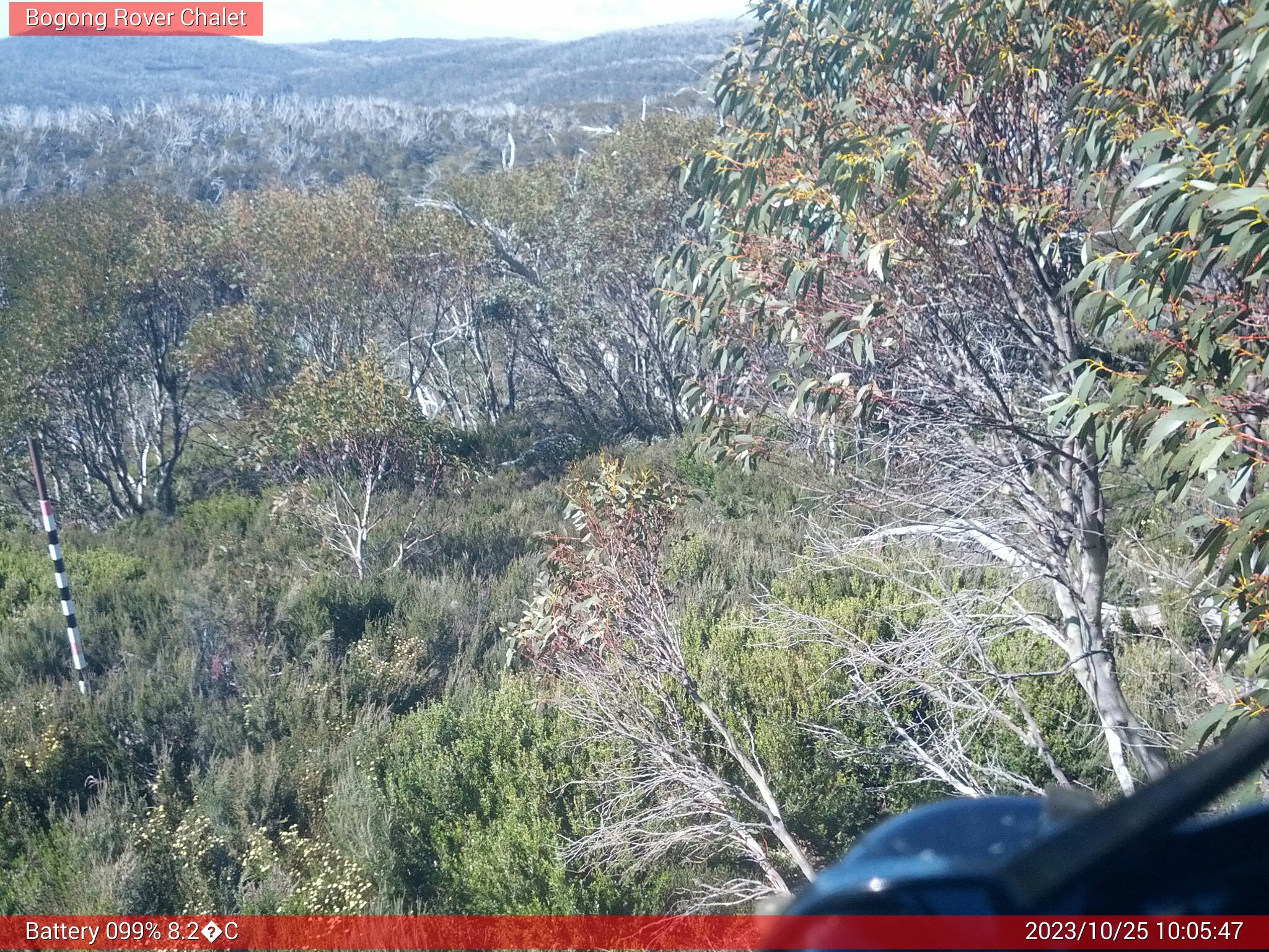 Bogong Web Cam 10:05am Wednesday 25th of October 2023