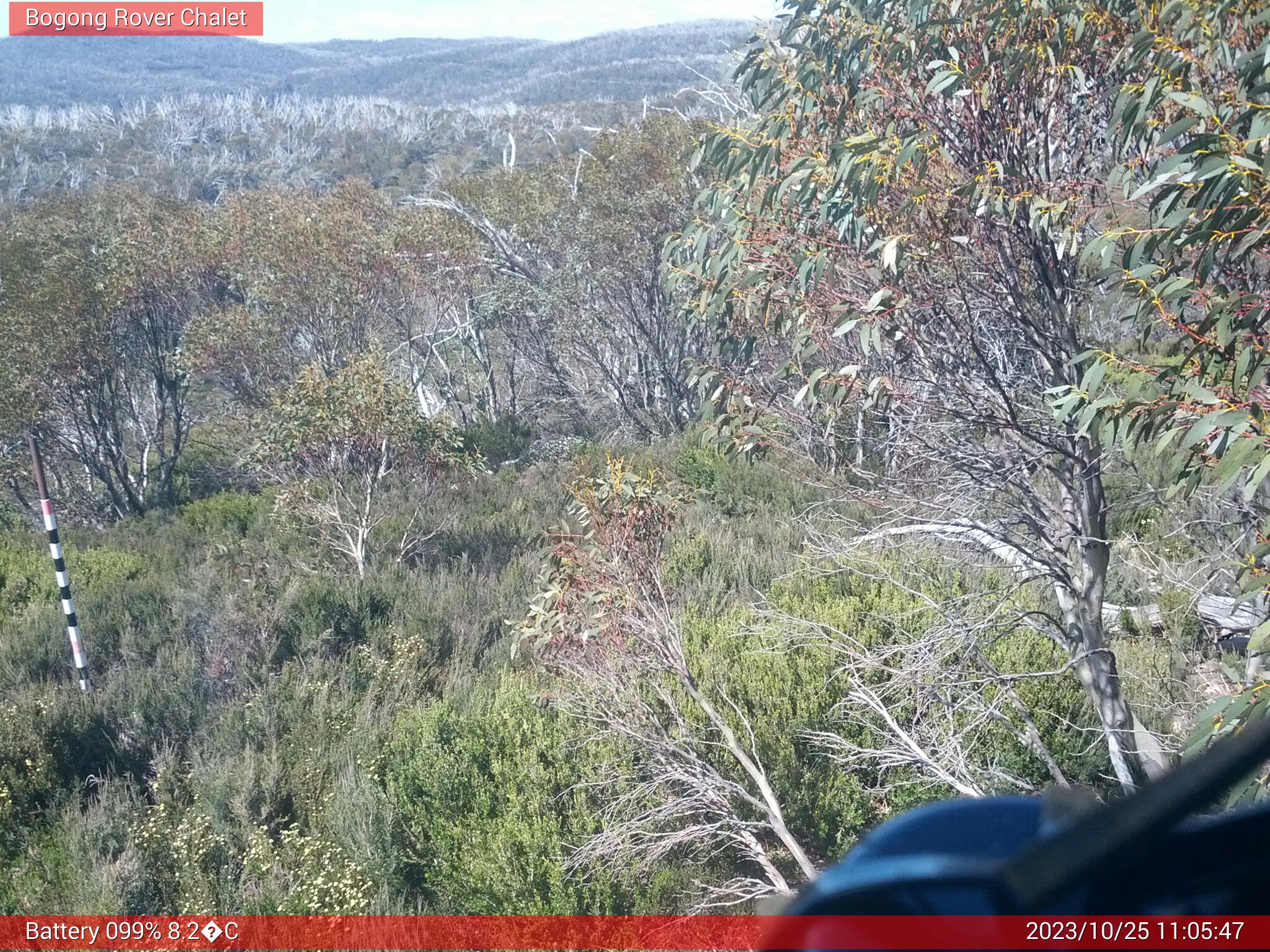 Bogong Web Cam 11:05am Wednesday 25th of October 2023