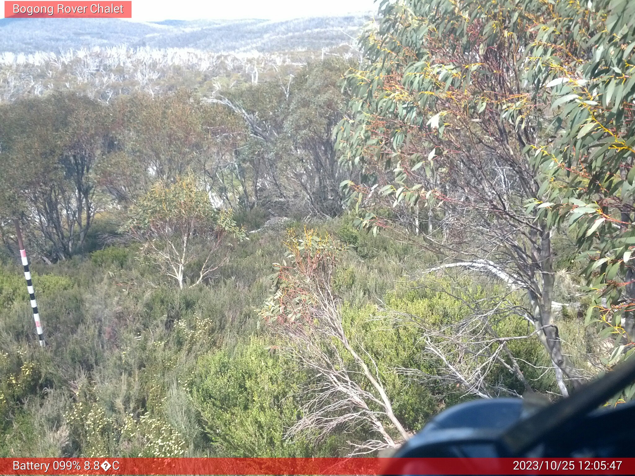 Bogong Web Cam 12:05pm Wednesday 25th of October 2023