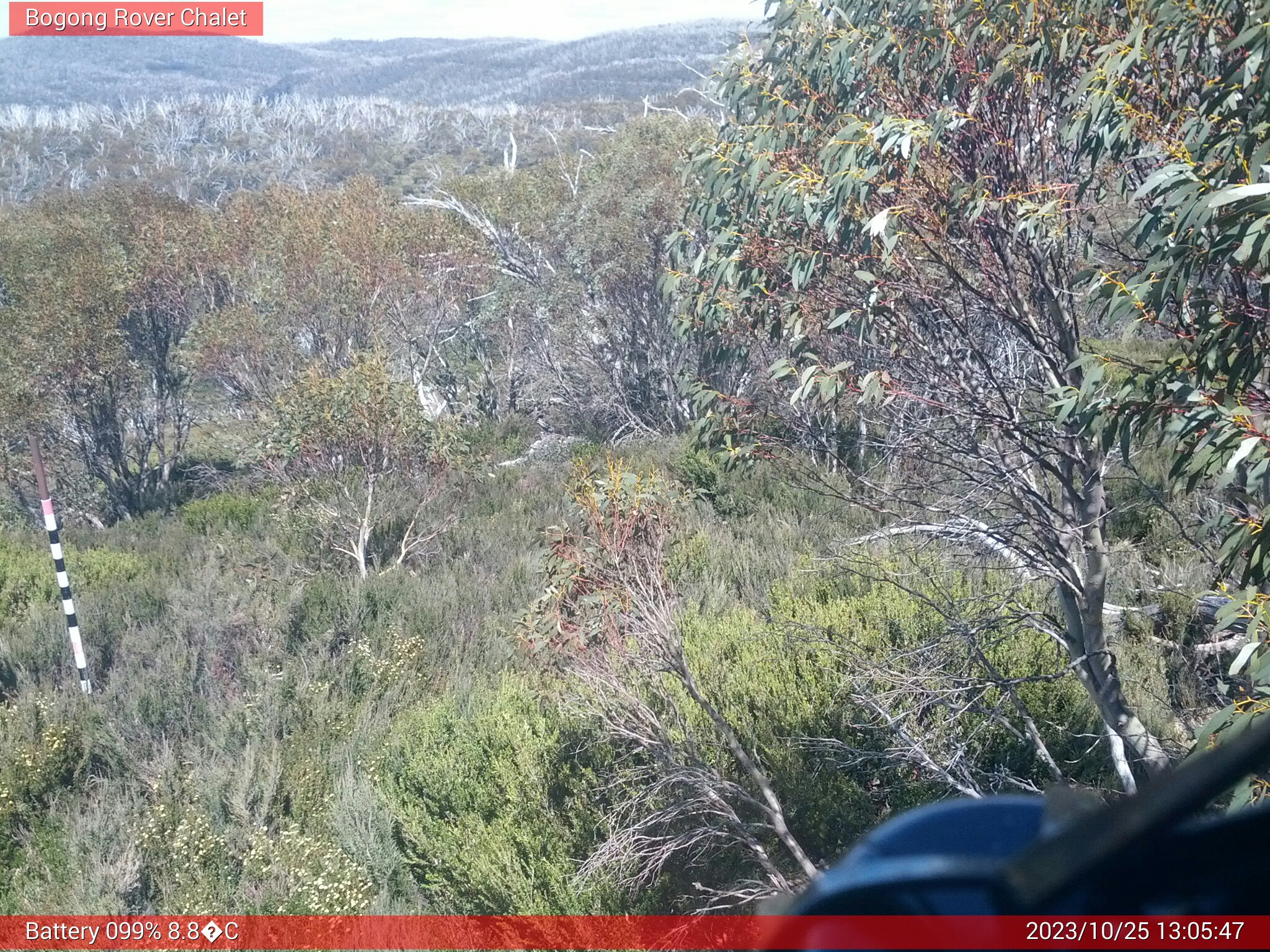 Bogong Web Cam 1:05pm Wednesday 25th of October 2023