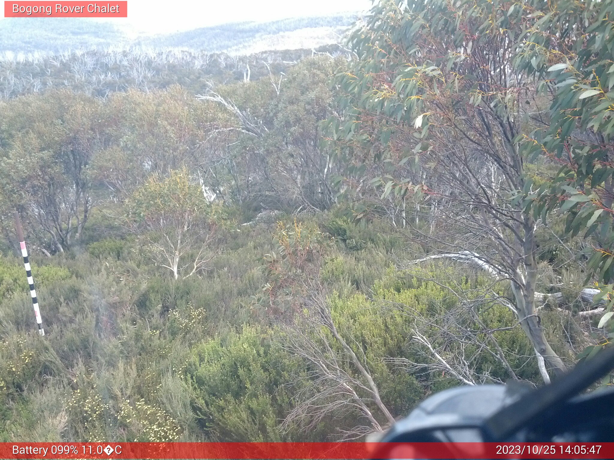 Bogong Web Cam 2:05pm Wednesday 25th of October 2023