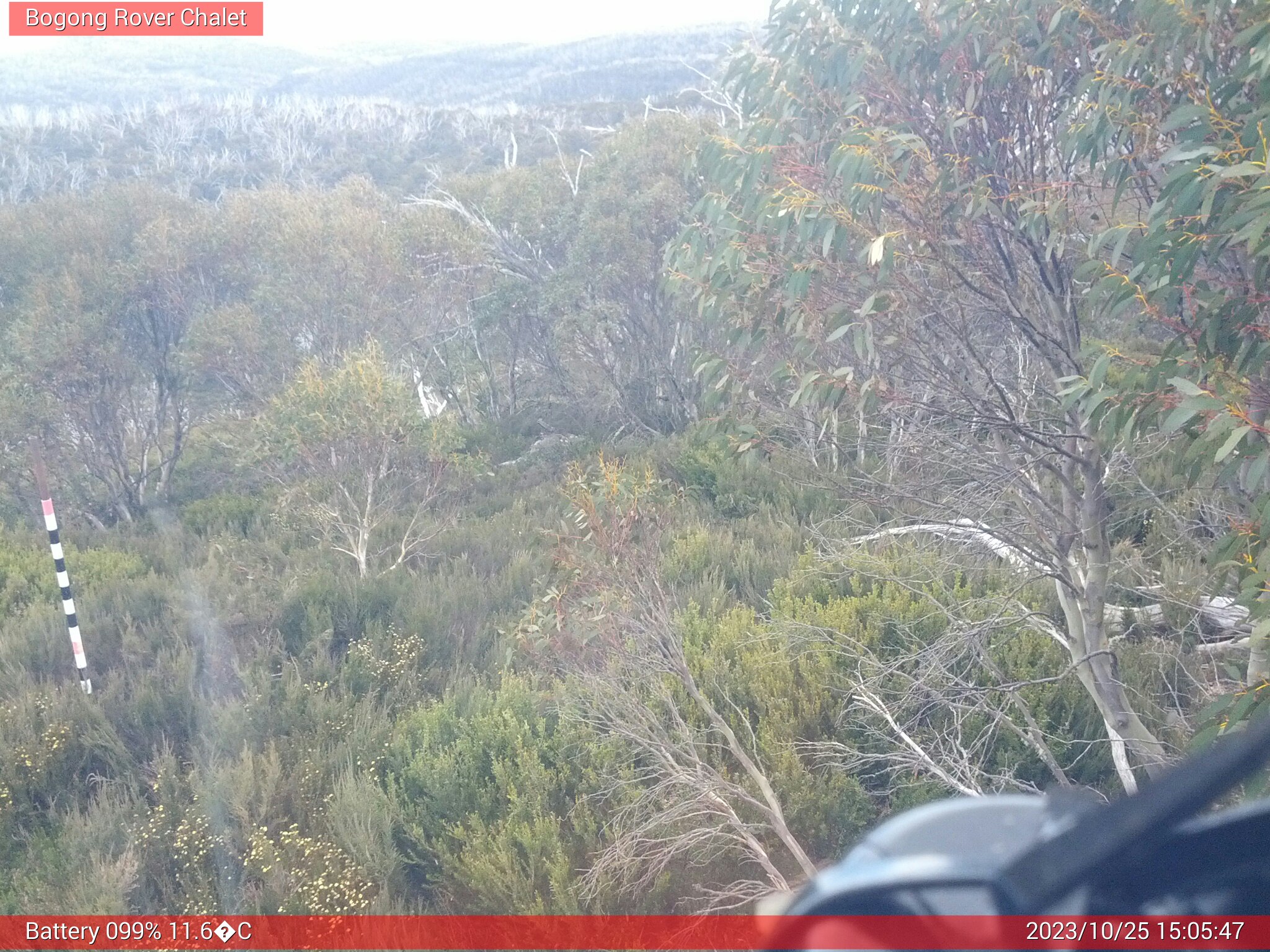 Bogong Web Cam 3:05pm Wednesday 25th of October 2023