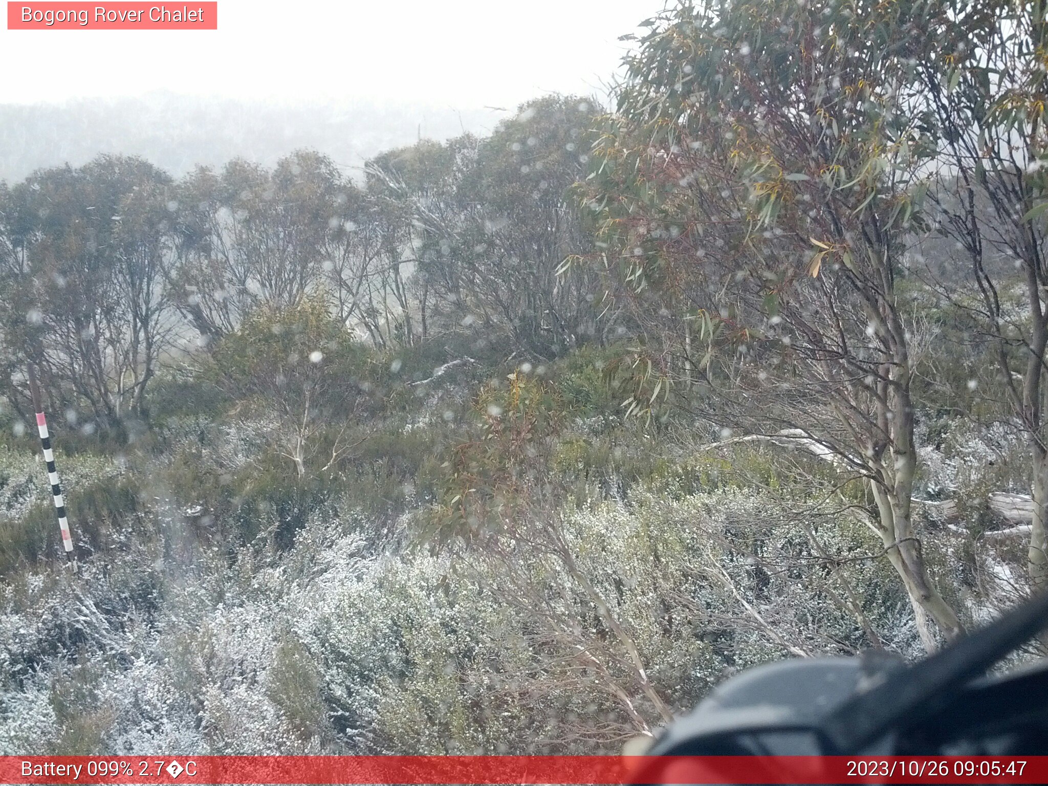 Bogong Web Cam 9:05am Thursday 26th of October 2023