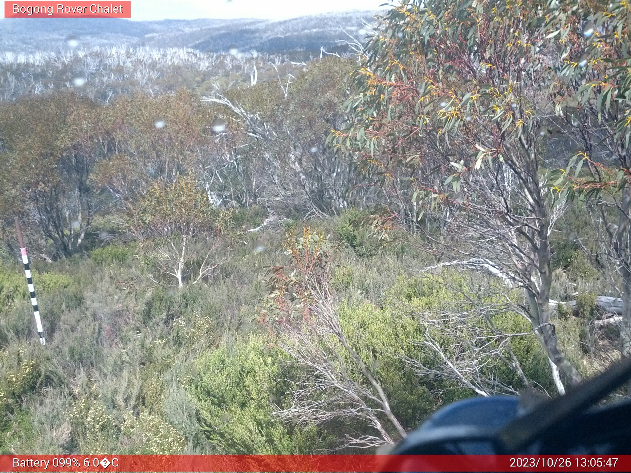 Bogong Web Cam 1:05pm Thursday 26th of October 2023