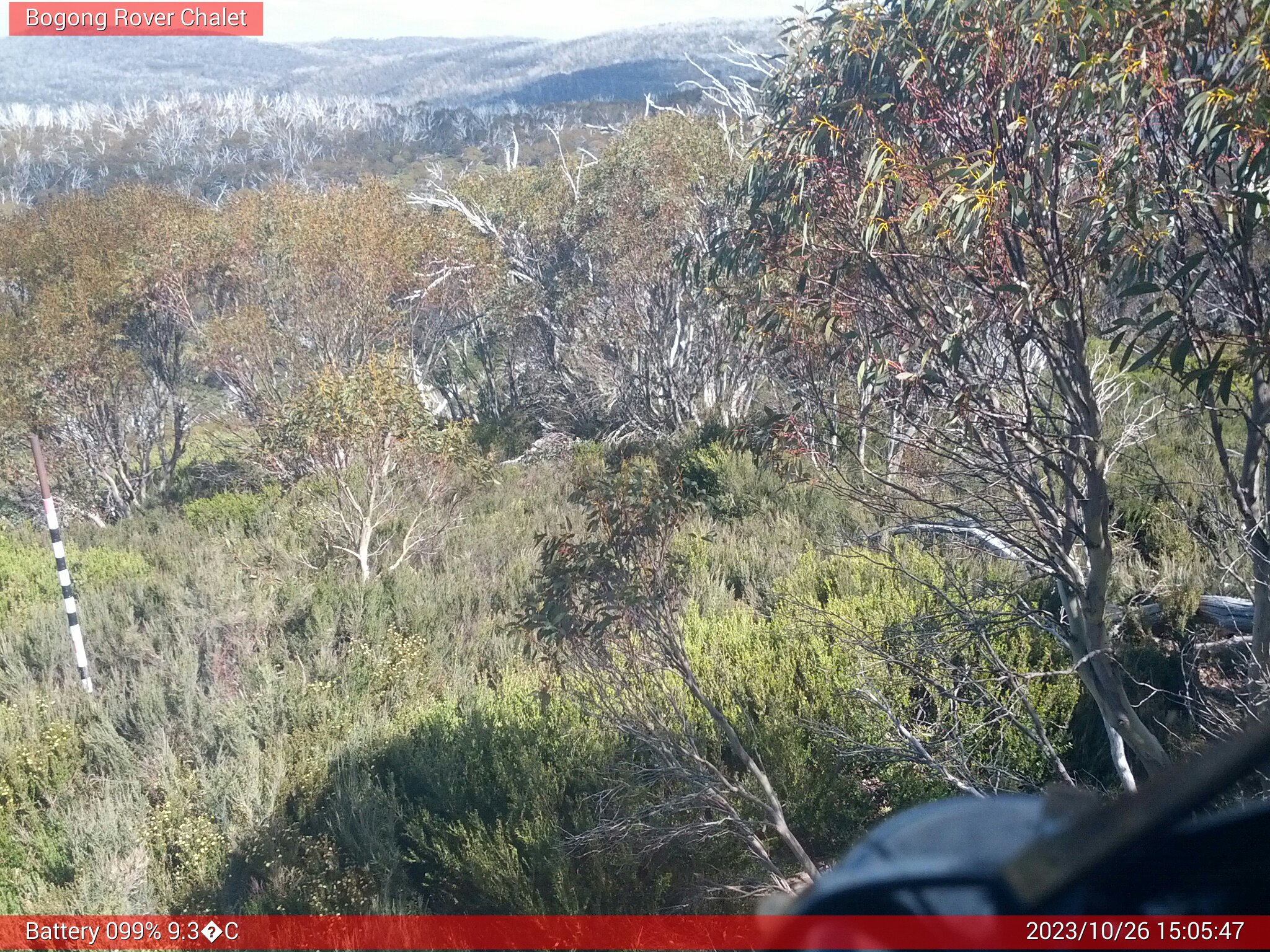 Bogong Web Cam 3:05pm Thursday 26th of October 2023