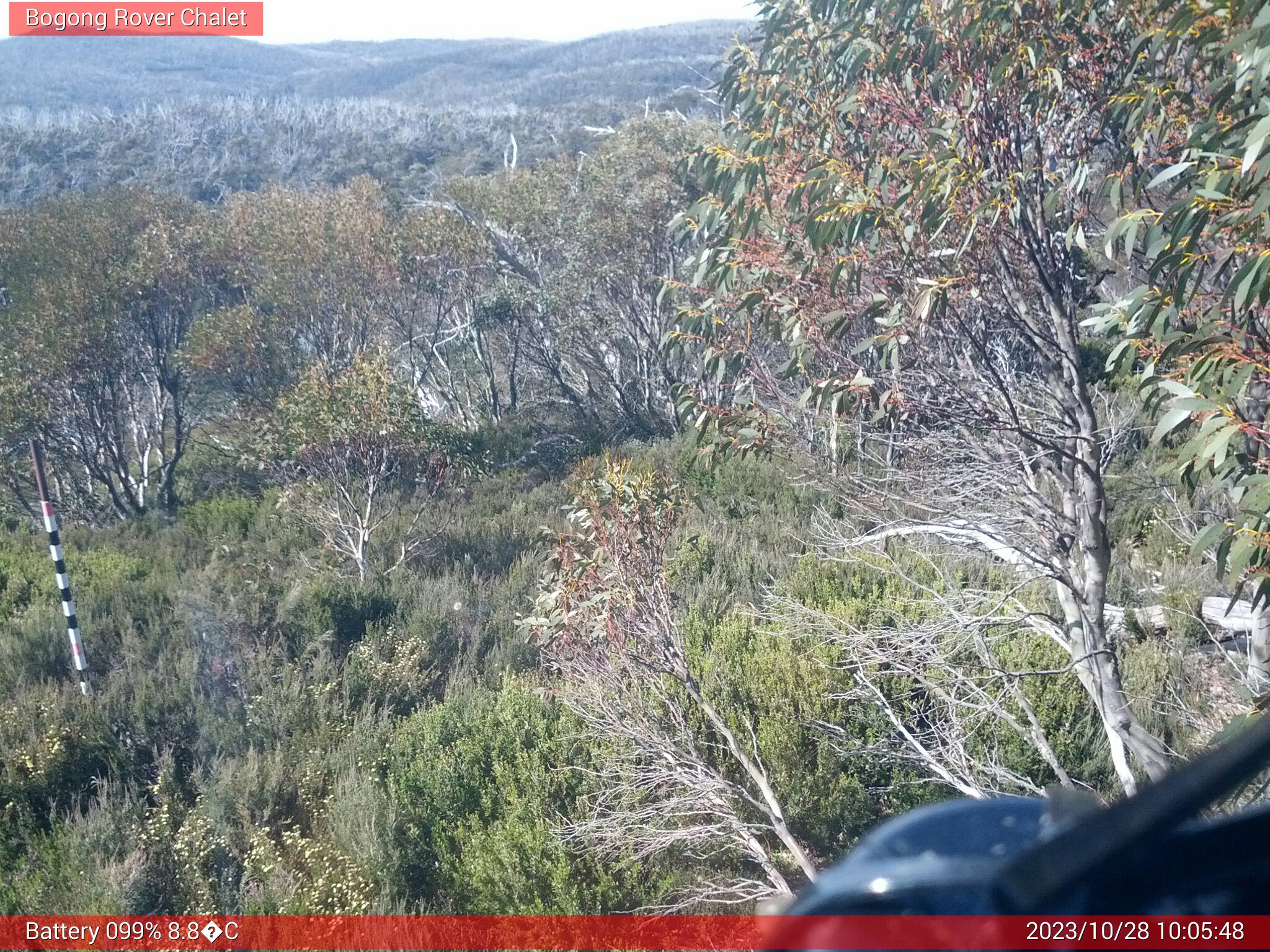 Bogong Web Cam 10:05am Saturday 28th of October 2023