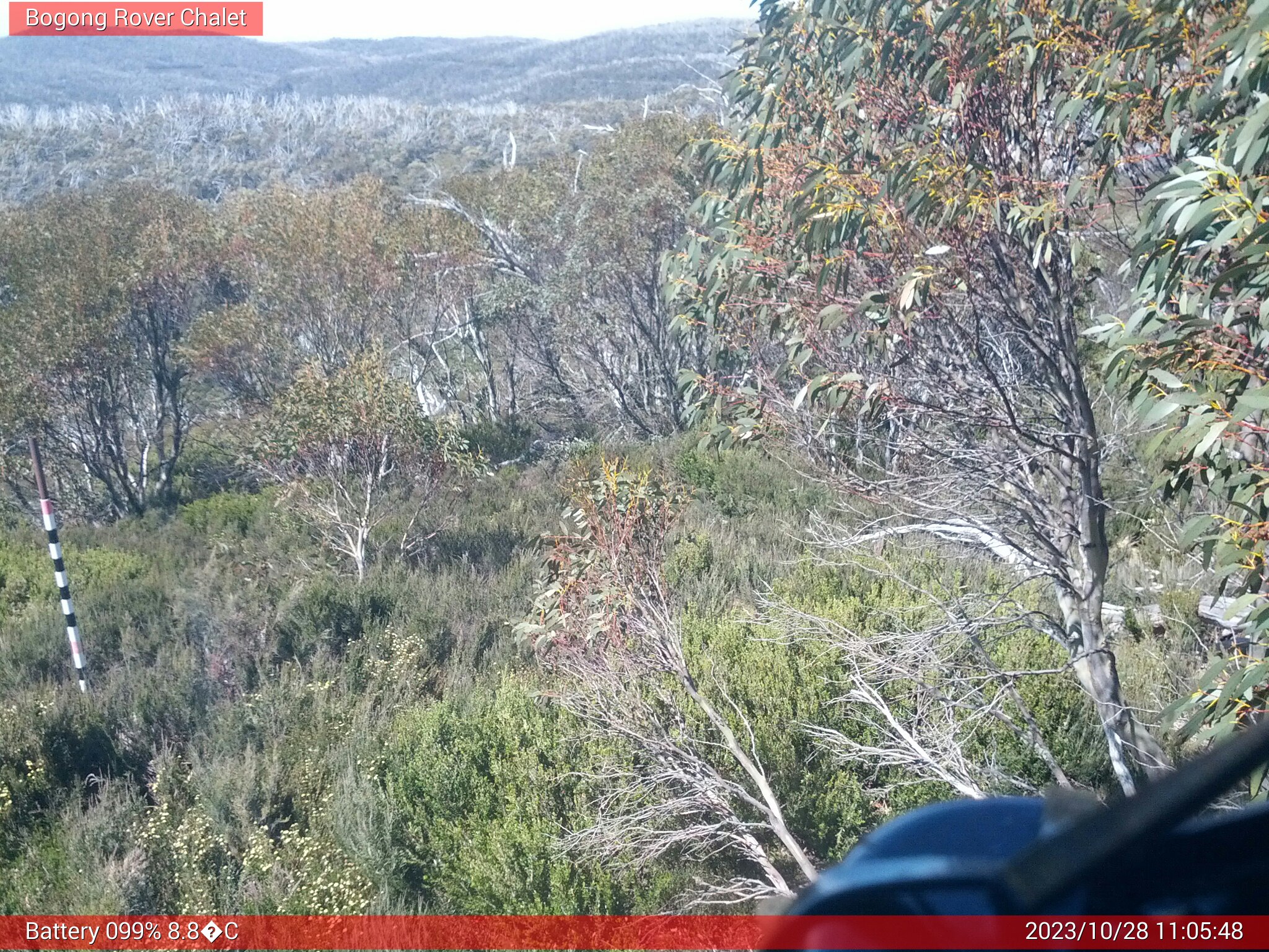 Bogong Web Cam 11:05am Saturday 28th of October 2023