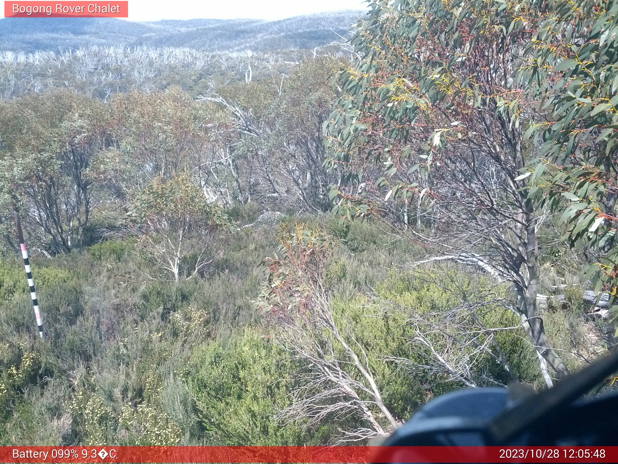 Bogong Web Cam 12:05pm Saturday 28th of October 2023