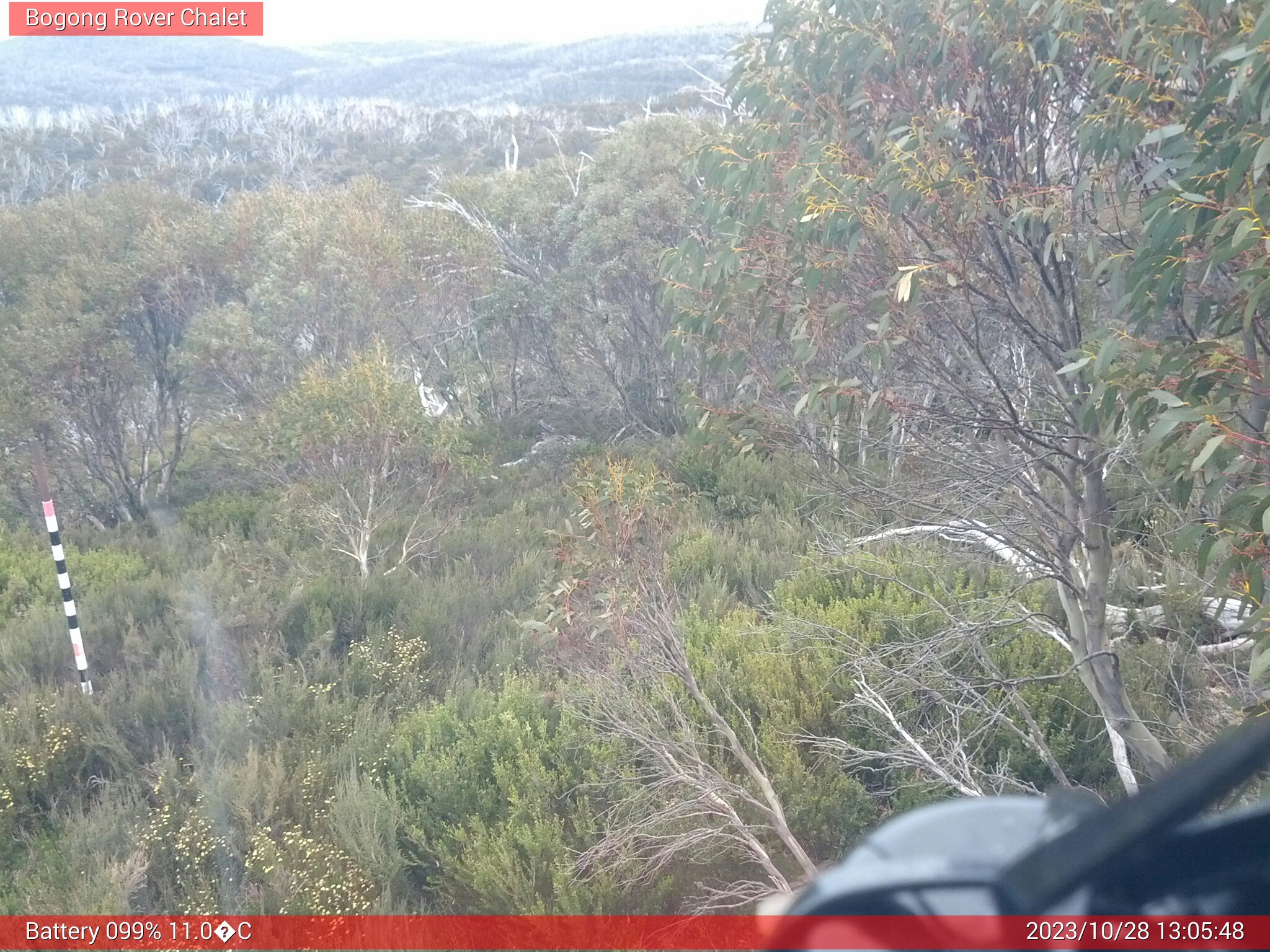 Bogong Web Cam 1:05pm Saturday 28th of October 2023